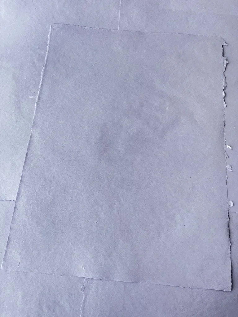 LILAS - feuille 18x24