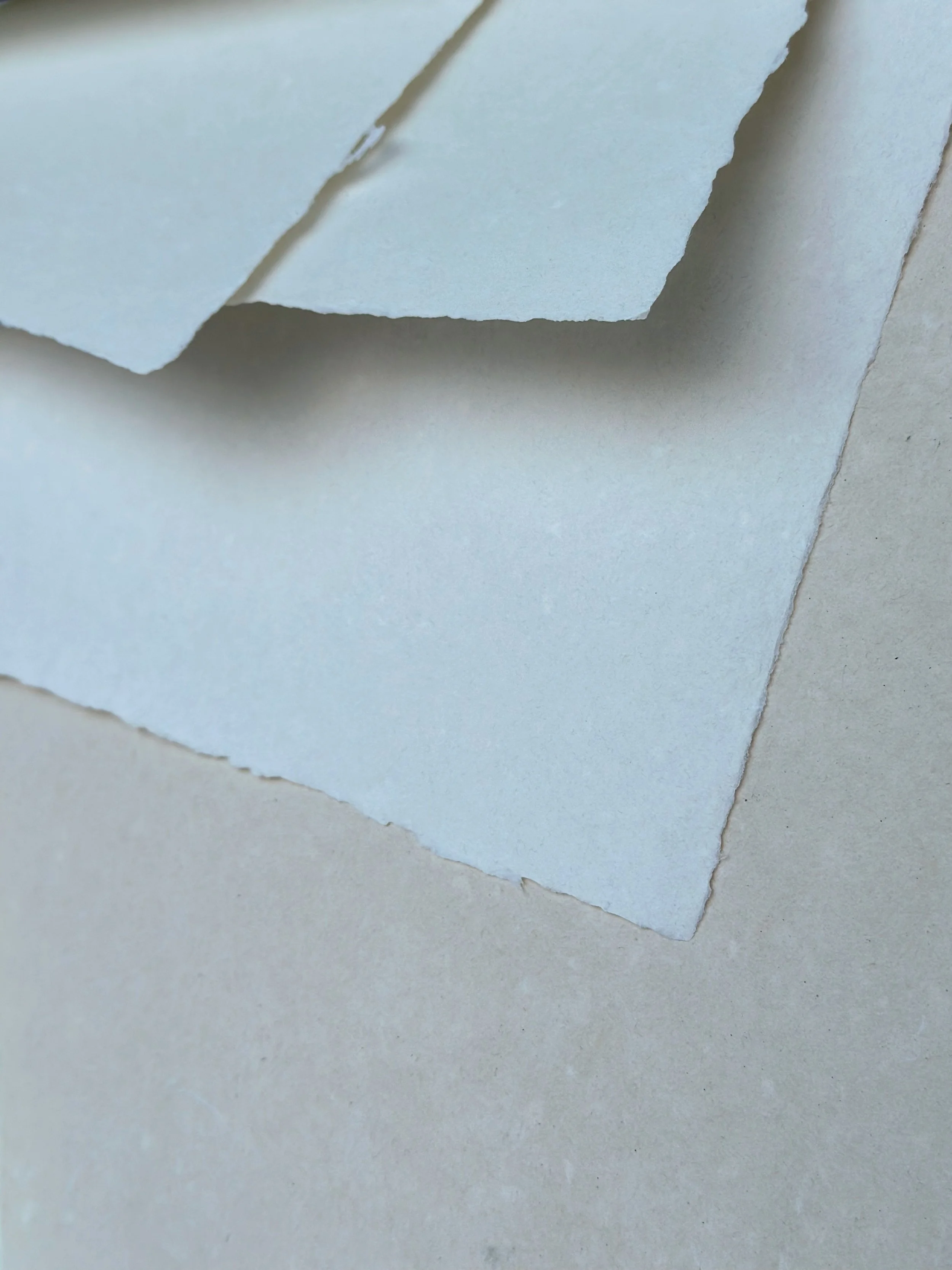 CLAIR/NEUTRE - papier blanc ou crème en précommande/preorder