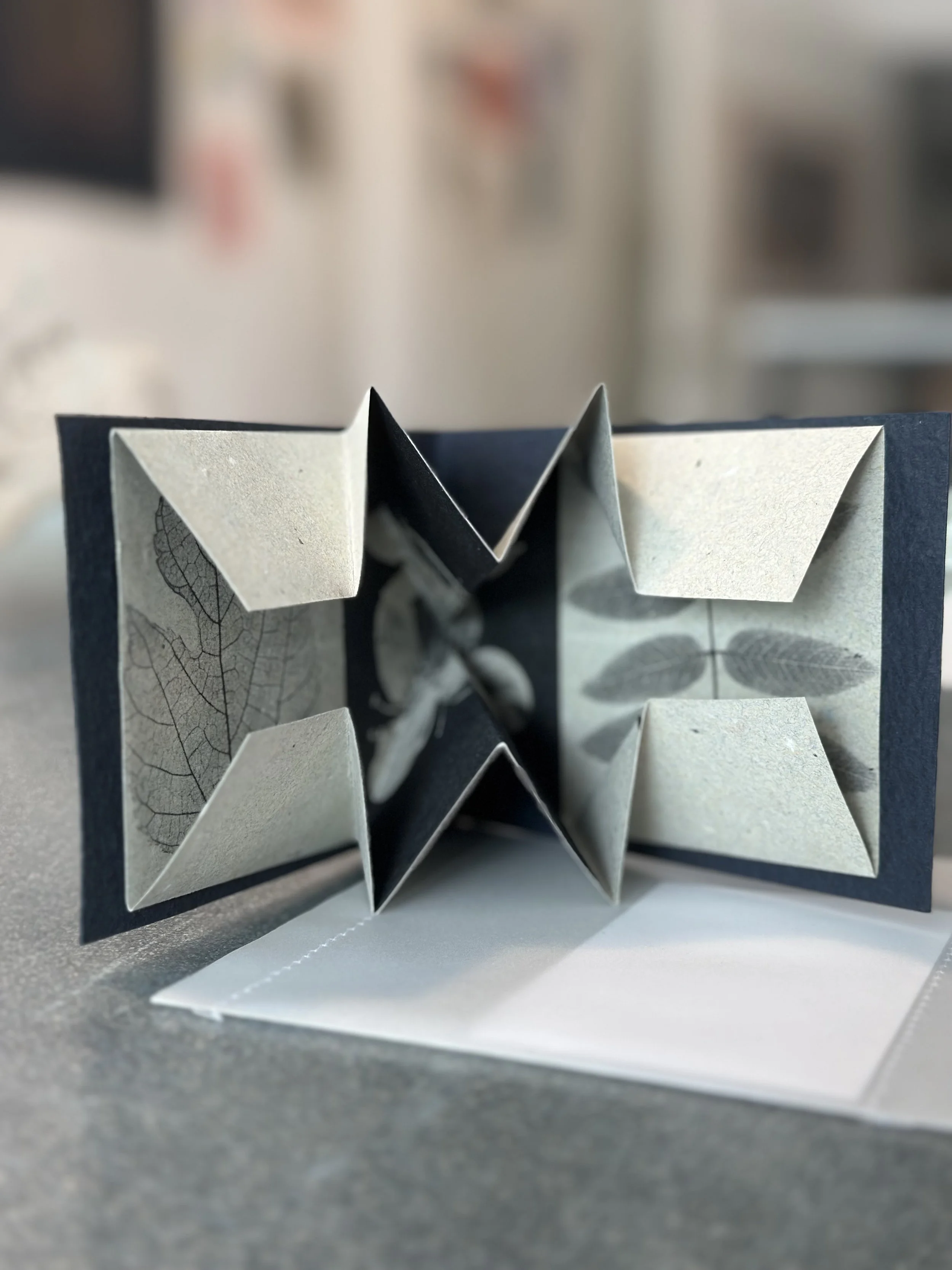 IMG_1287.jpeg