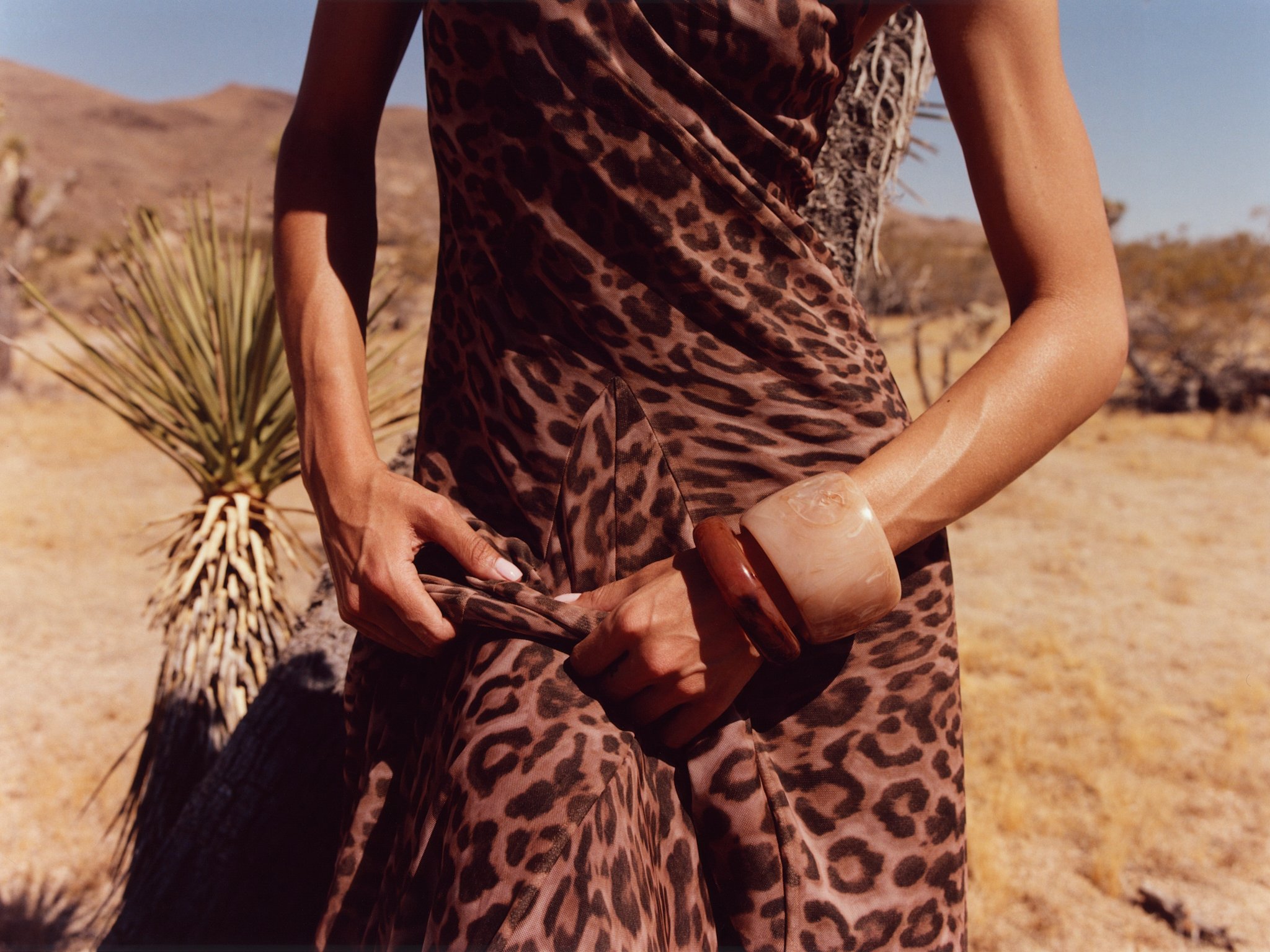Jelixza_Joshua Tree.jpg
