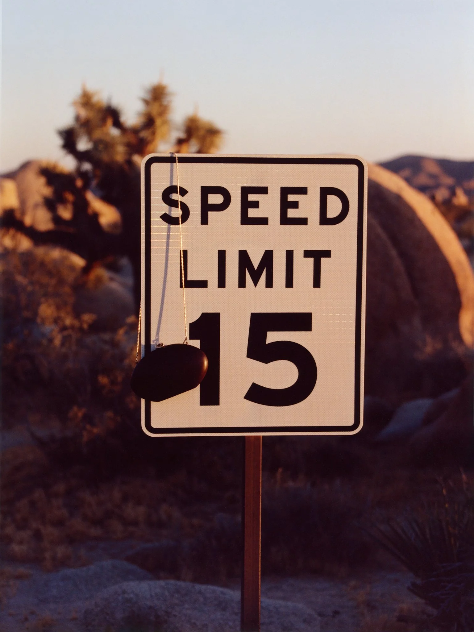 Jelixza_Joshua Tree (29).jpg