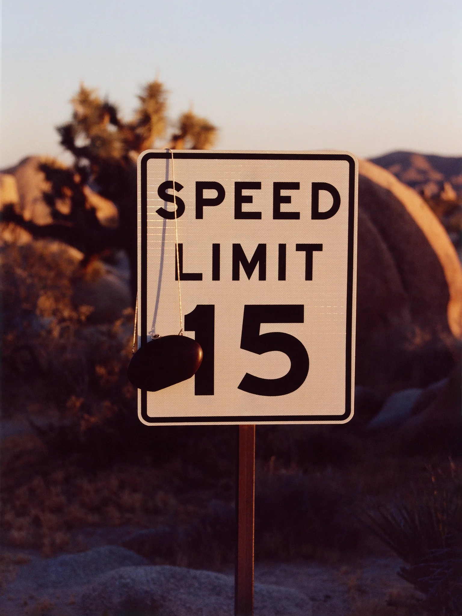 Jelixza_Joshua Tree (29).jpg