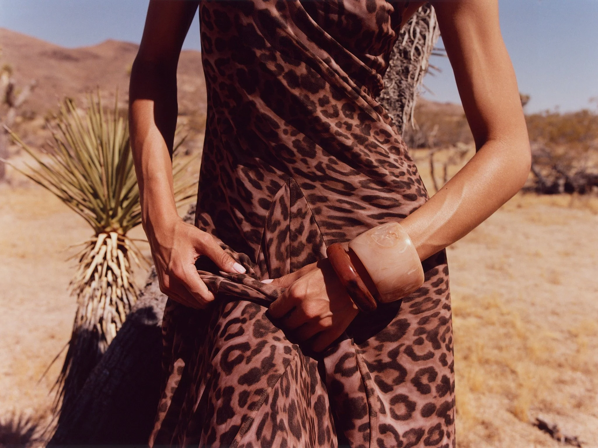 Jelixza_Joshua Tree.jpg