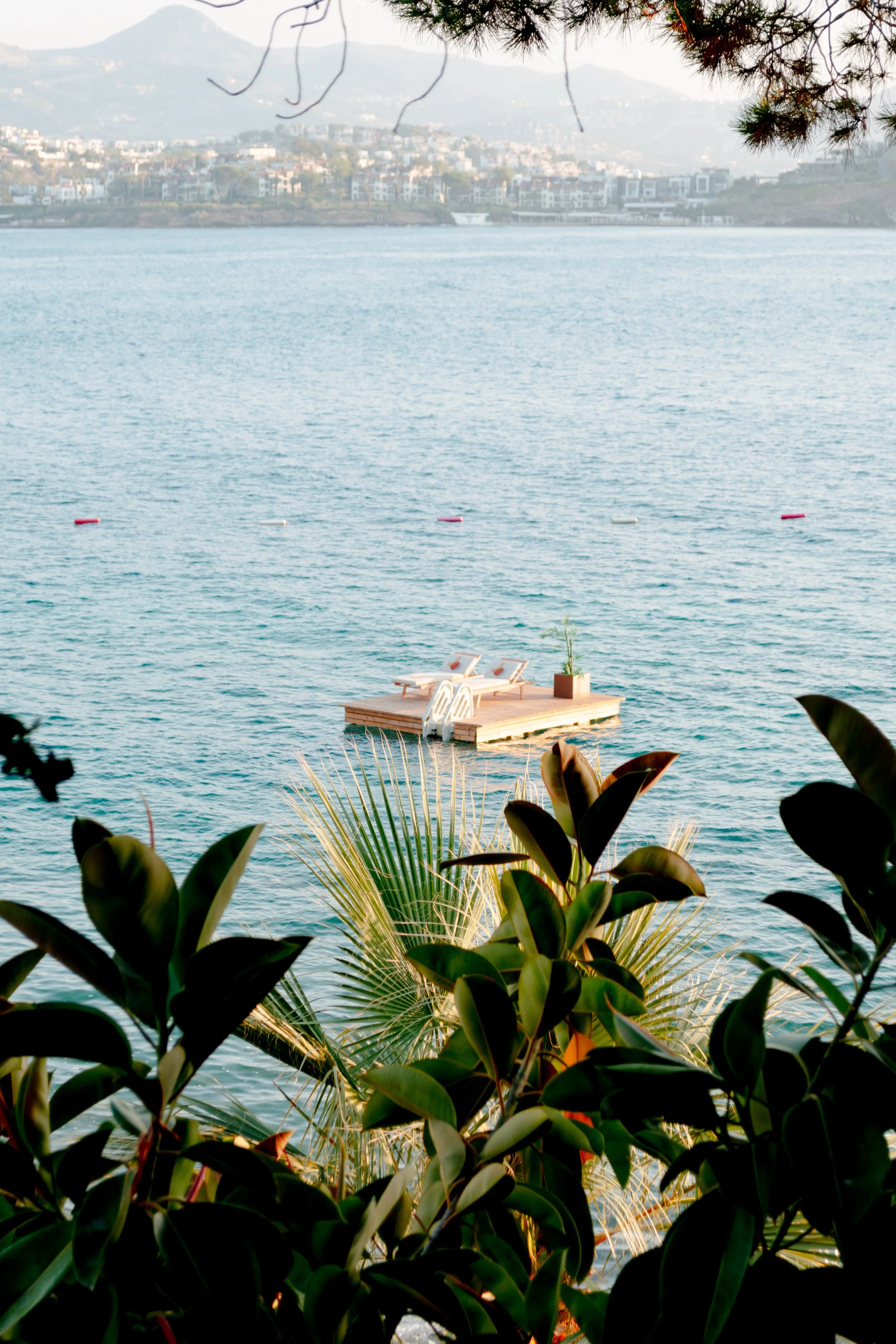 MoonBeach, Vania Canales-Canales.JPG