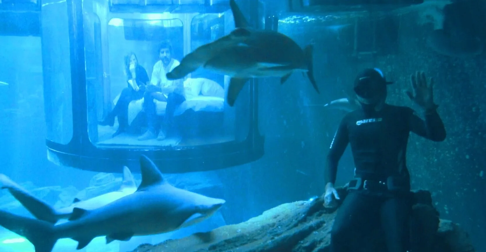 Airbnb Appleton Sharks