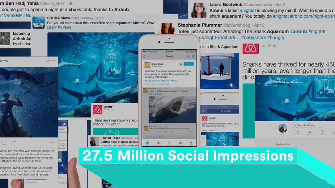 Airbnb Appleton Sharks