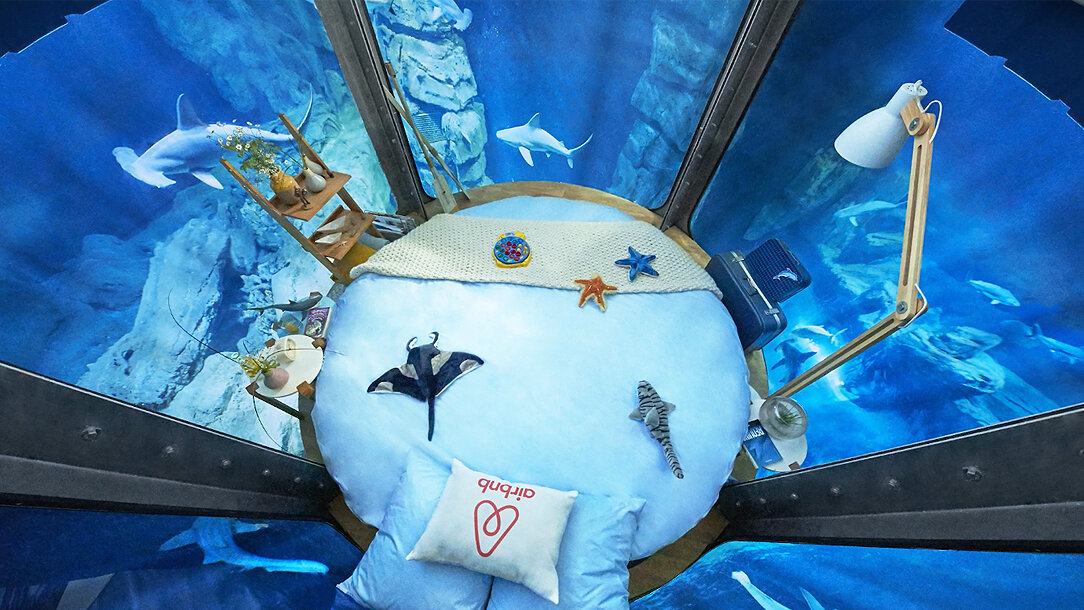 Airbnb Appleton Sharks