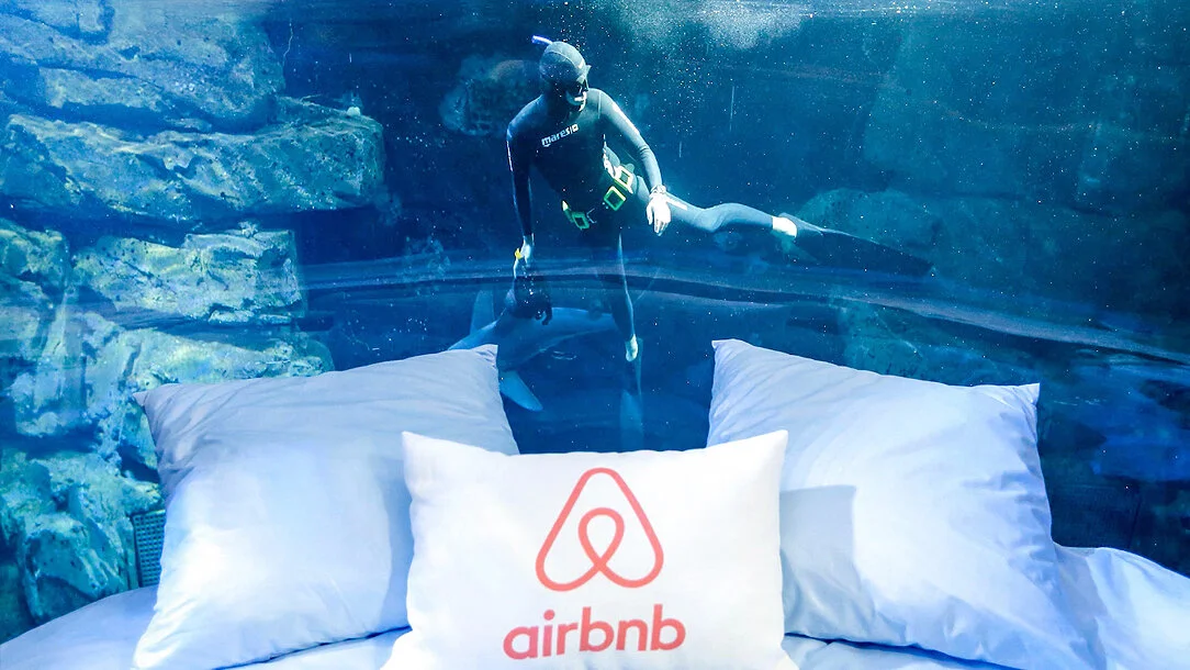 Airbnb Appleton Sharks