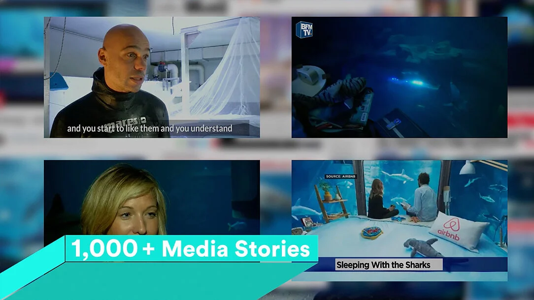 Airbnb Appleton Sharks