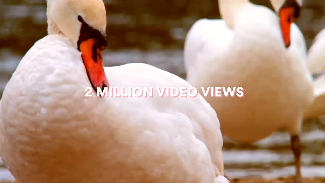 Appleton Productions Airbnb