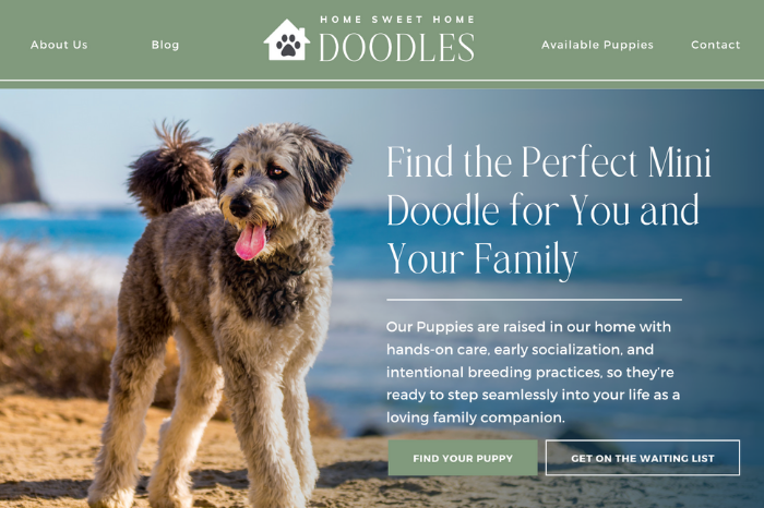 Dog Breeder Custom Squarespace E-commerce Website and Automation Build