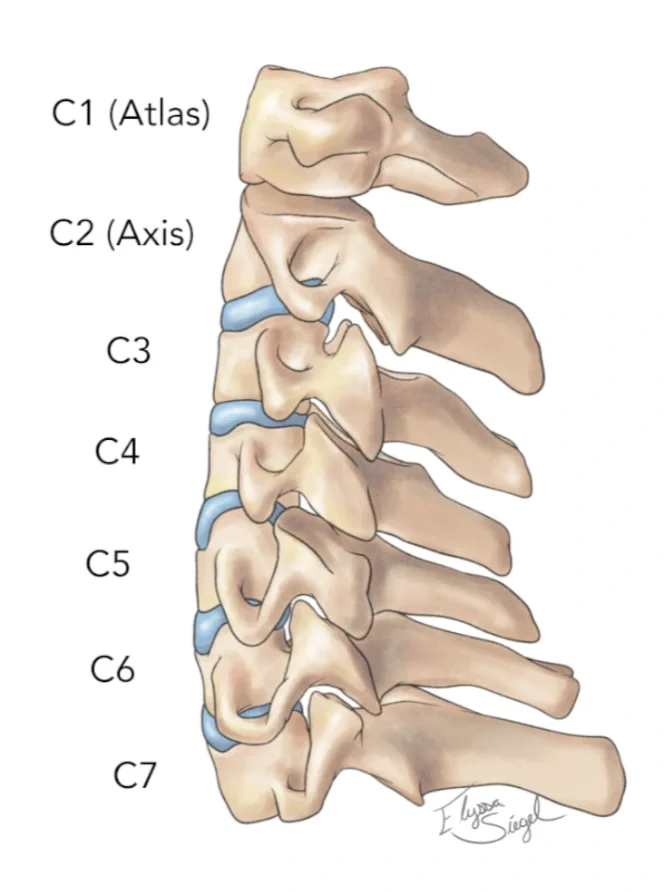 Why Does My Neck Hurt? Common Causes of Neck Pain in Burnaby