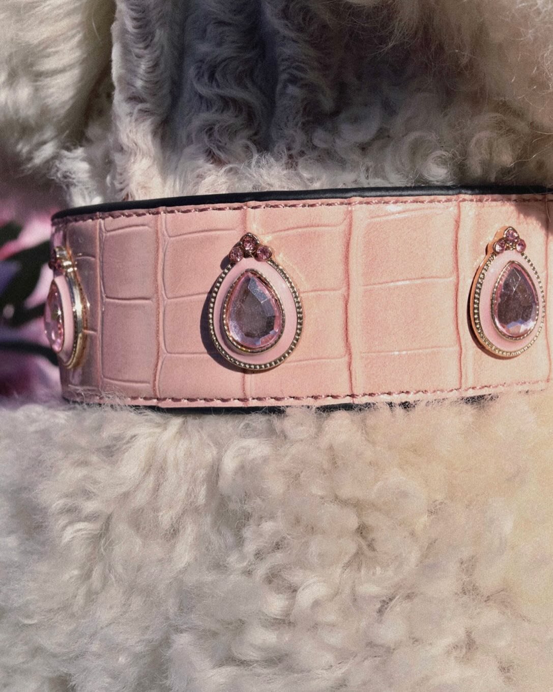 🩰🎀🐷👛