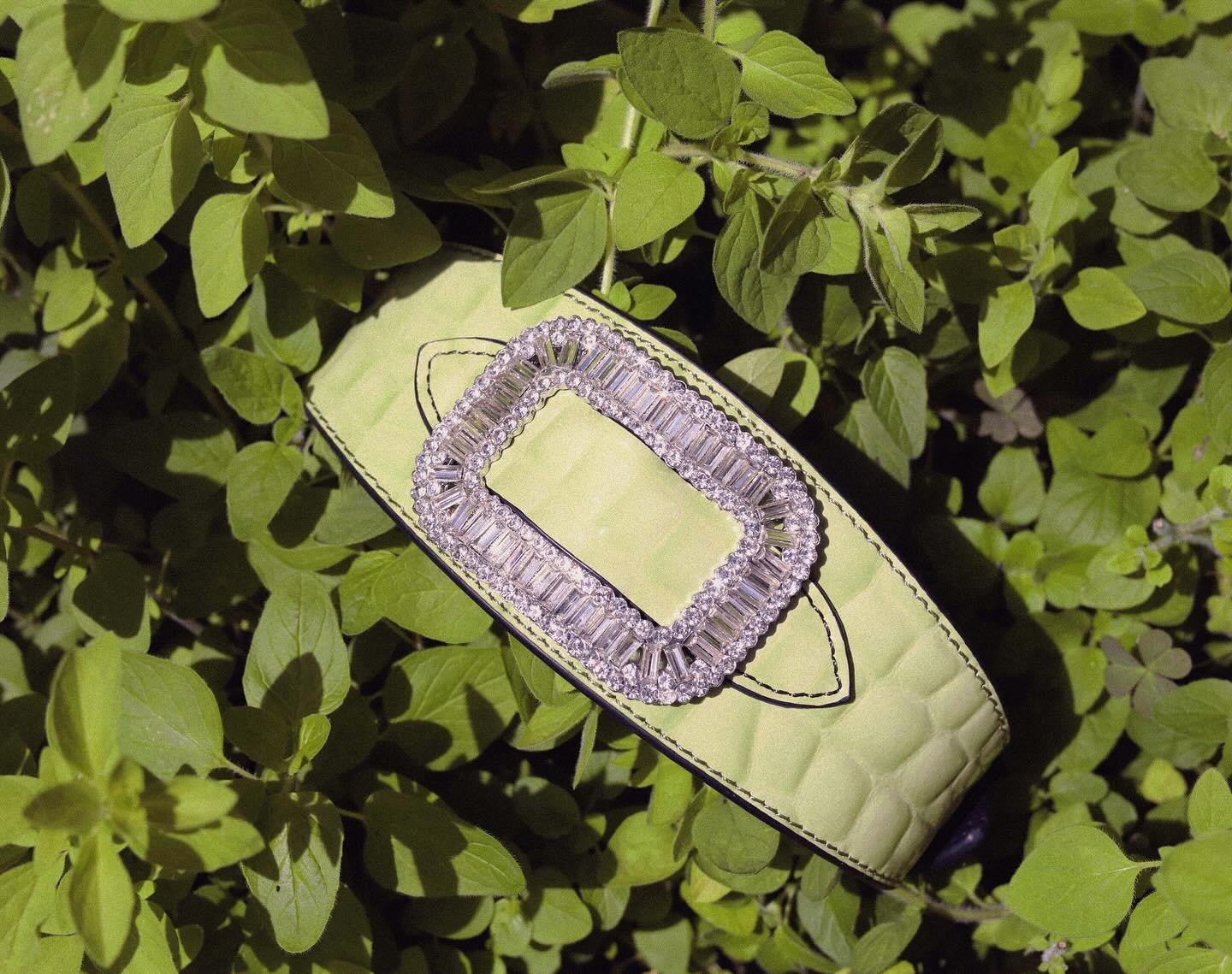 Turn heads in the all new &lsquo;Dazzle&rsquo; collar in our Pistachio high-shine embossed croc. Sizes small, medium AND large all available now at www.bonboy.co 🍀