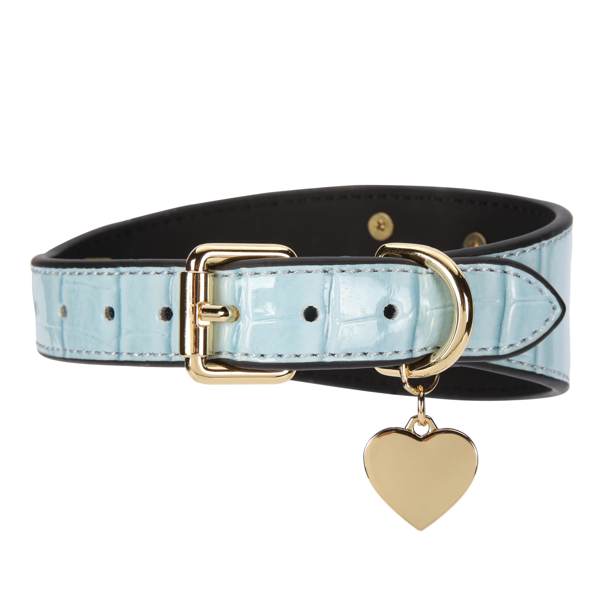 ROSETTE POWDER BLUE CROC - BACK.png