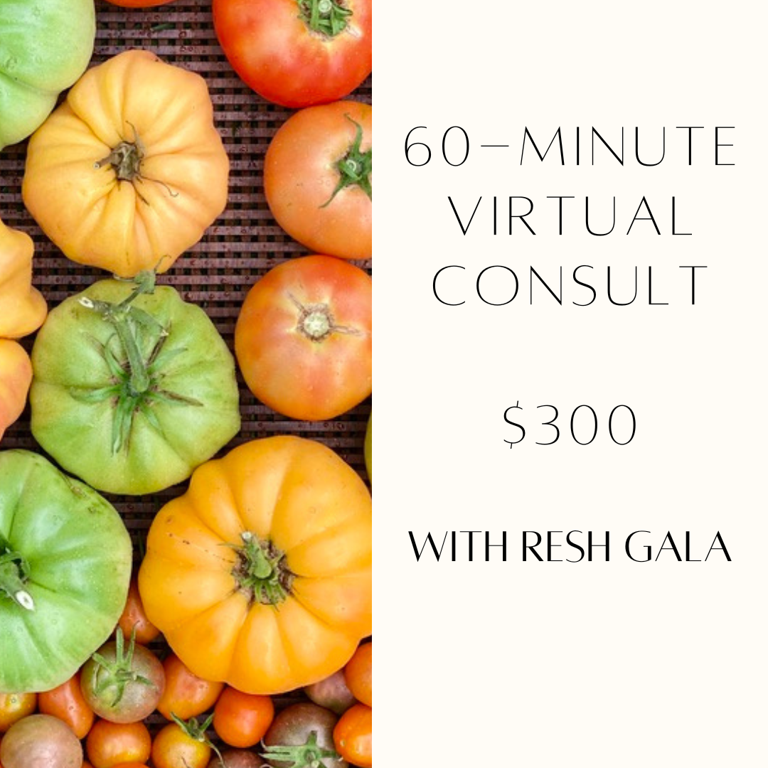 60-Minute Virtual Consult