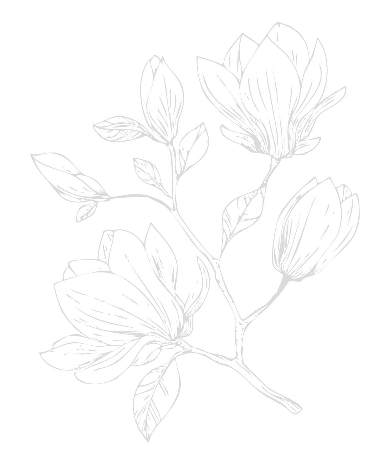 Line drawing of a flowering plant branch with multiple blooms and leaves on a black background.
