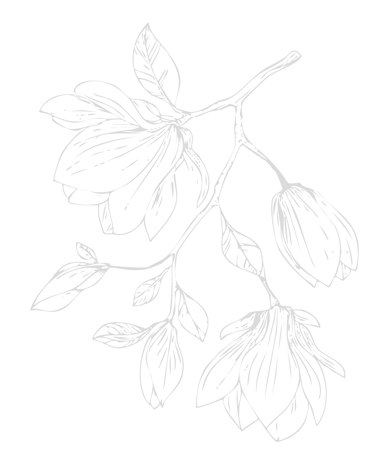 Line drawing of a flowering plant with several large flowers, buds, and leaves on a black background.