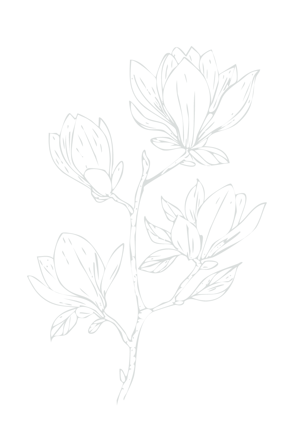 Line drawing of a flowering plant with large petals and multiple leaves on a black background.
