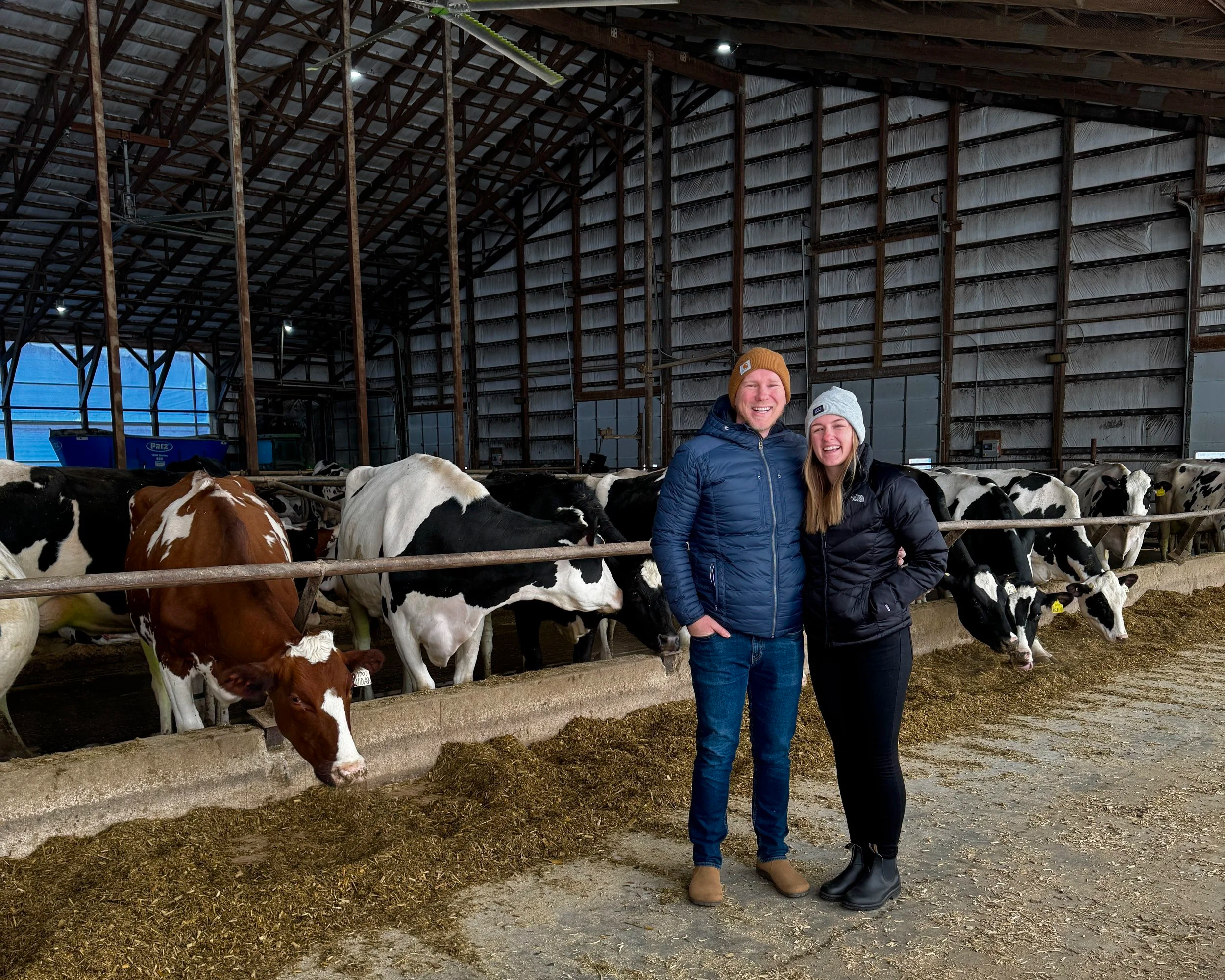 New Day Dairy Guestbarn