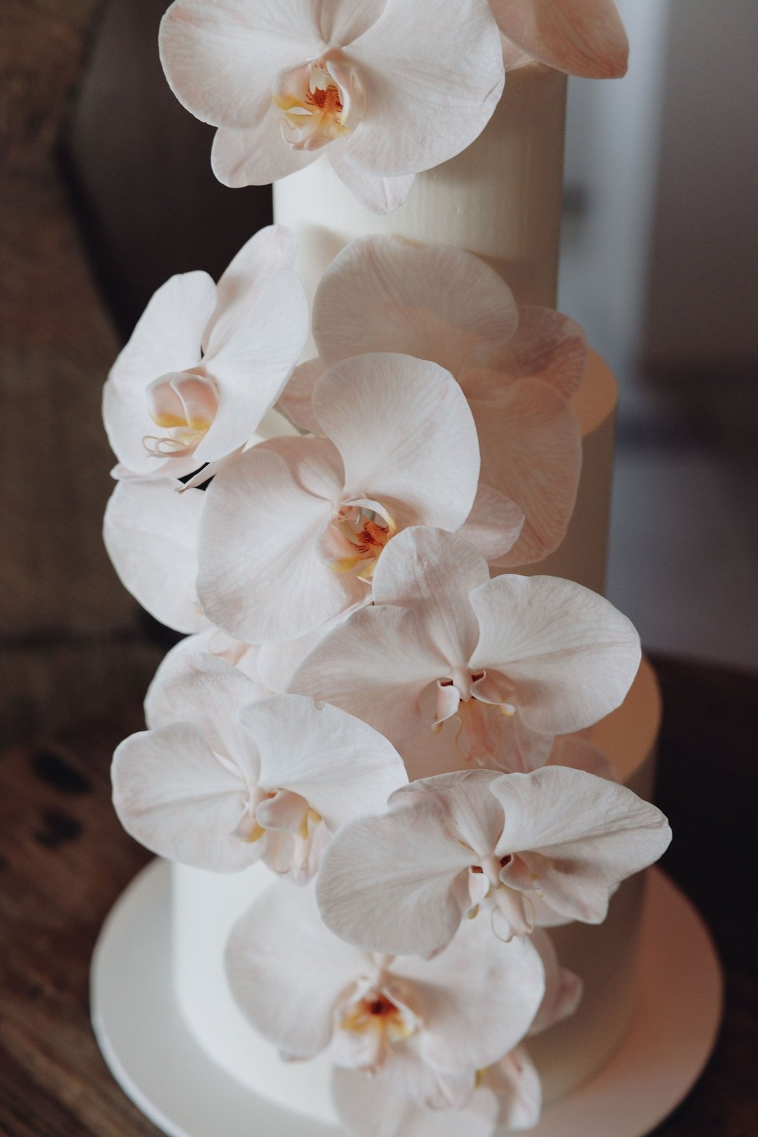 Photography &amp; Videography @aleishaedwardsweddings​​​​​​​​​​​​​​​​
Venue @bistroc​​​​​​​​​​​​​​​​
Styling @clweddingsandevents​​​​​​​​​​​​​​​​
Hire @thehiredepartment​​​​​​​​​​​​​​​​
Celebrant @hayleyhartcelebrant​​​​​​​​​​​​​​​​
Florals @mondoflo