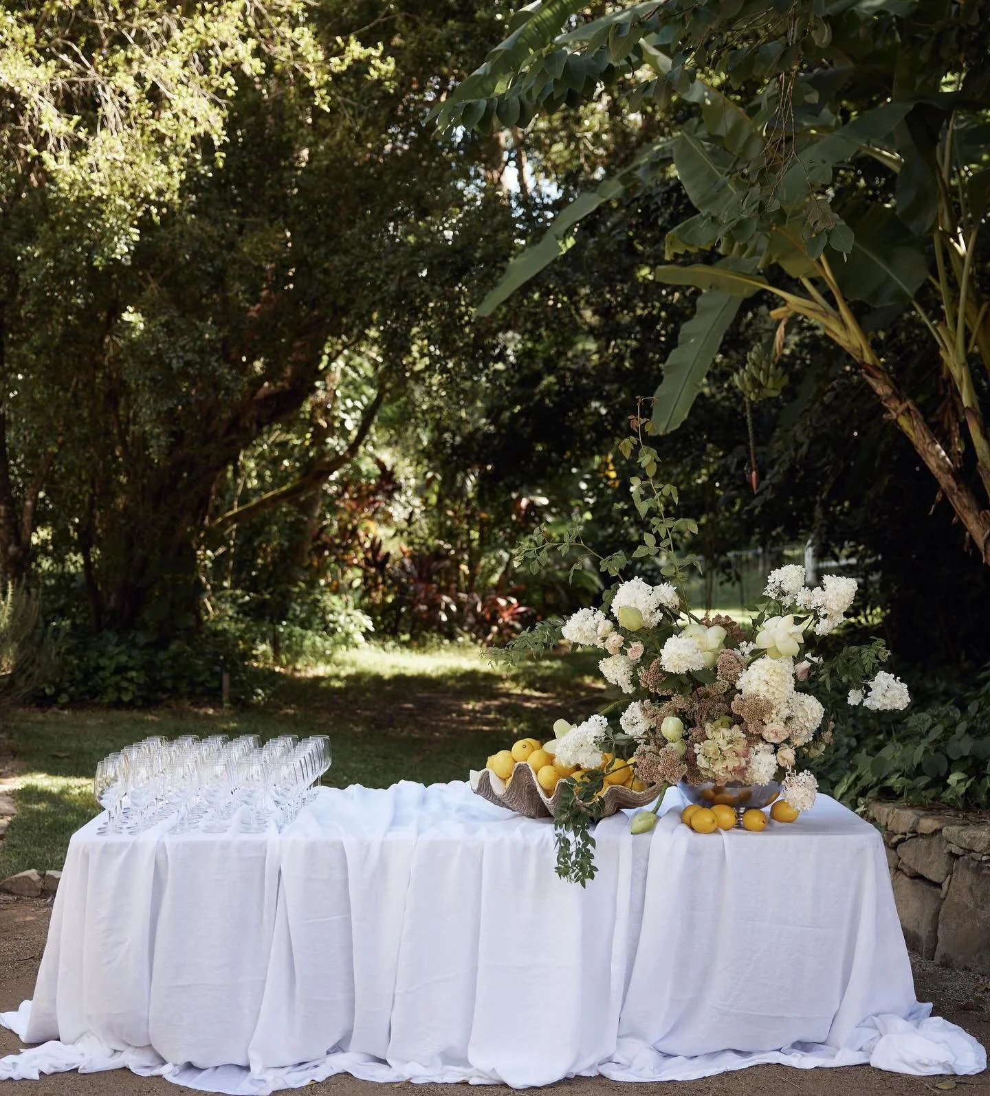 Ruby and Josh 2025
⠀⠀⠀⠀⠀⠀⠀⠀⠀
@weddingsofdesire
@lostinlove_photography
@bloodwoodbotanica
@casa.renoir
@nataliedrumcelebrant
⠀⠀⠀⠀⠀⠀⠀⠀⠀
#decorhirenoosa #decorhiresunshinecoast #weddinghirenoosa #weddinghiresunshinecoast #weddingstylistsunshinecoast we