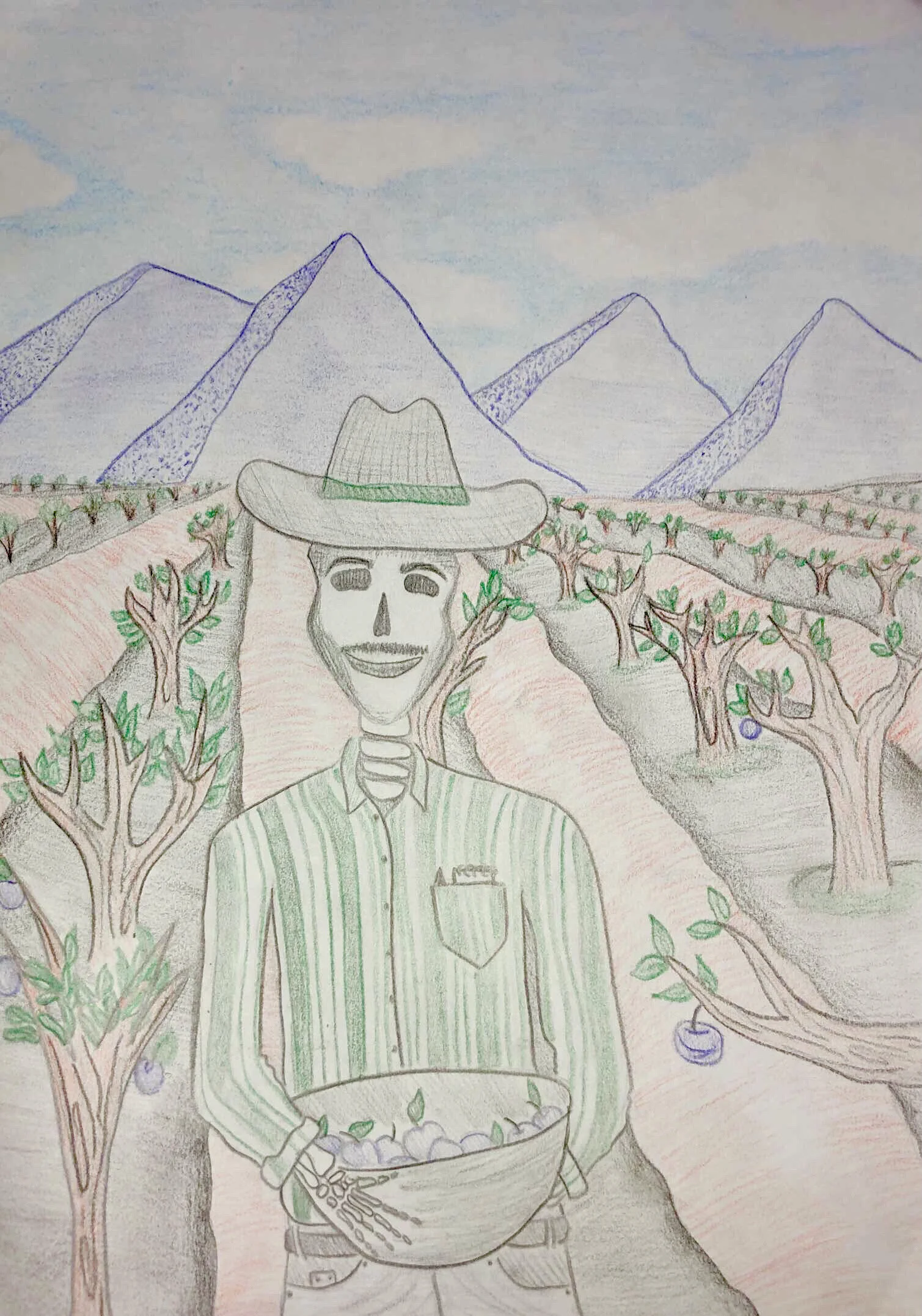 Regina Mariscal-Macias