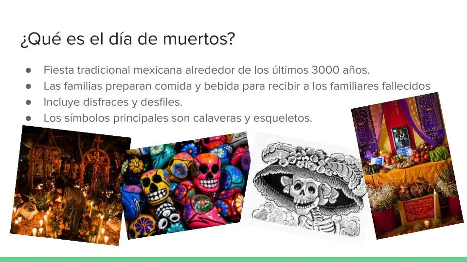 Hari Srikanth - El Día de Los Muertos Project (1).jpg