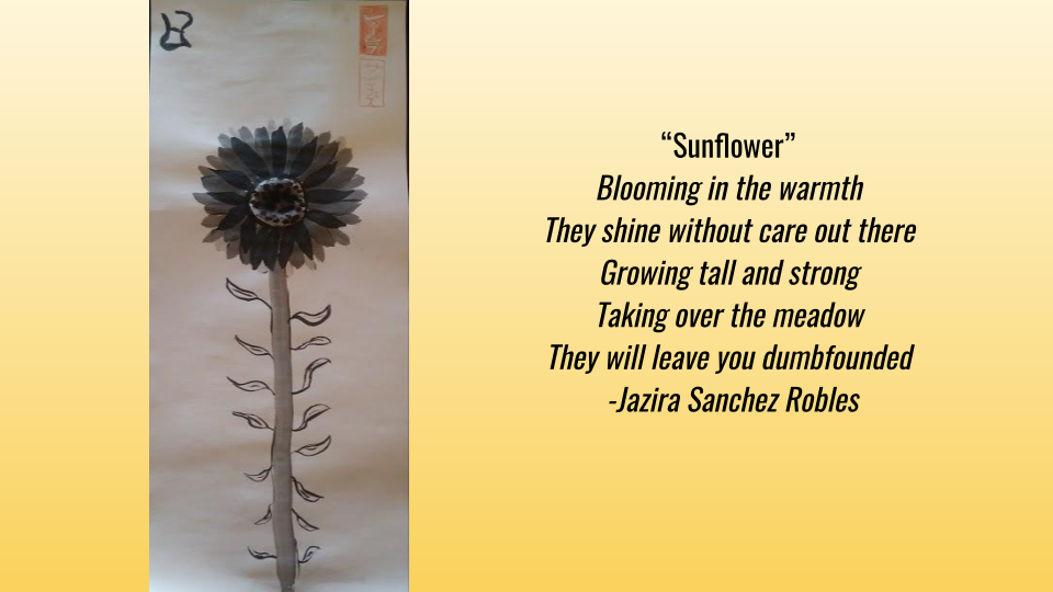 Jazira Sanchez Robles