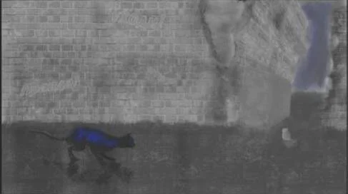 Final Exhibition copy 6.jpg