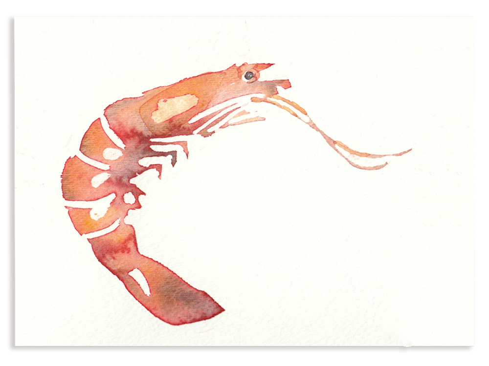 Charleston restaurant shrimp