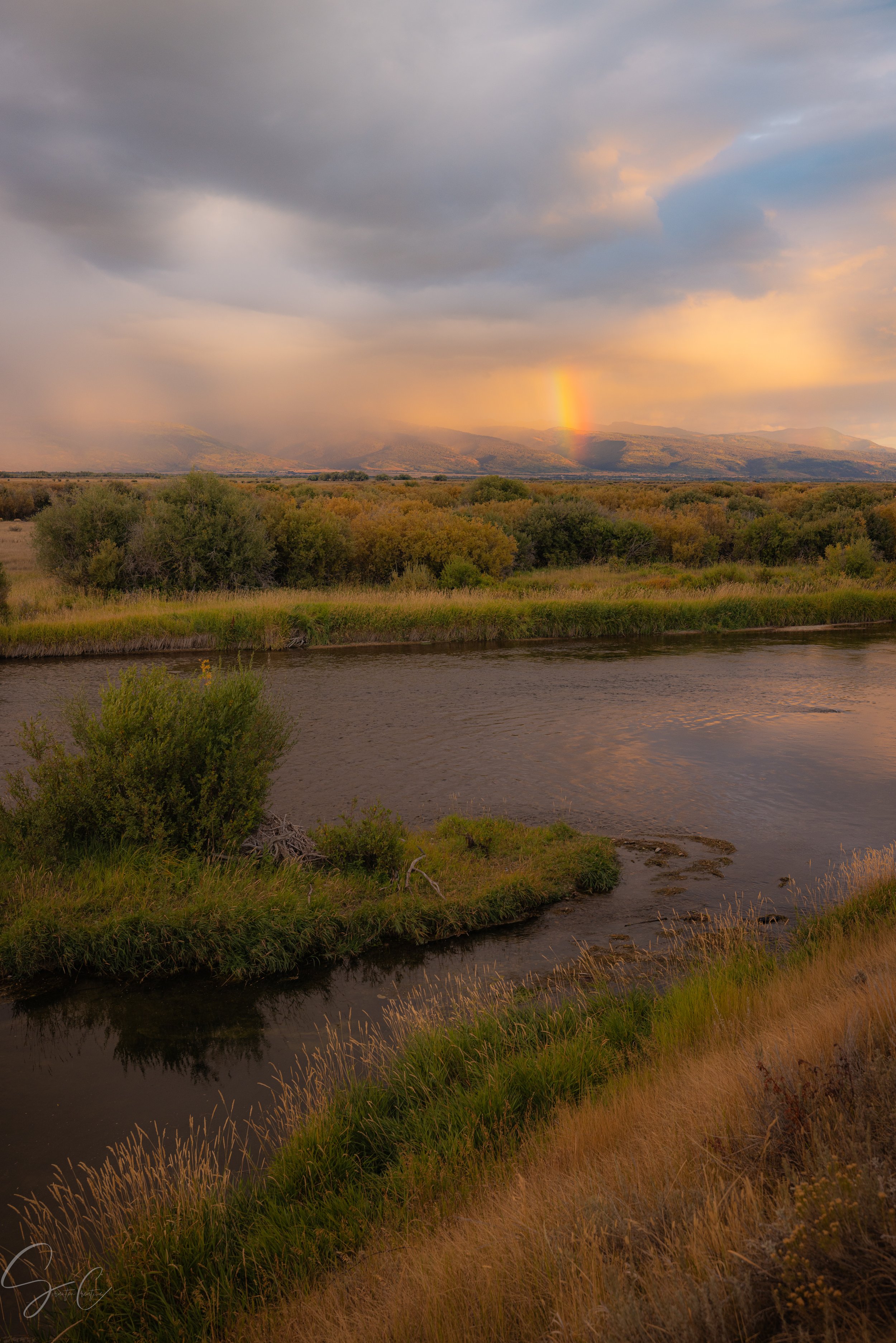 Idaho Rainbow