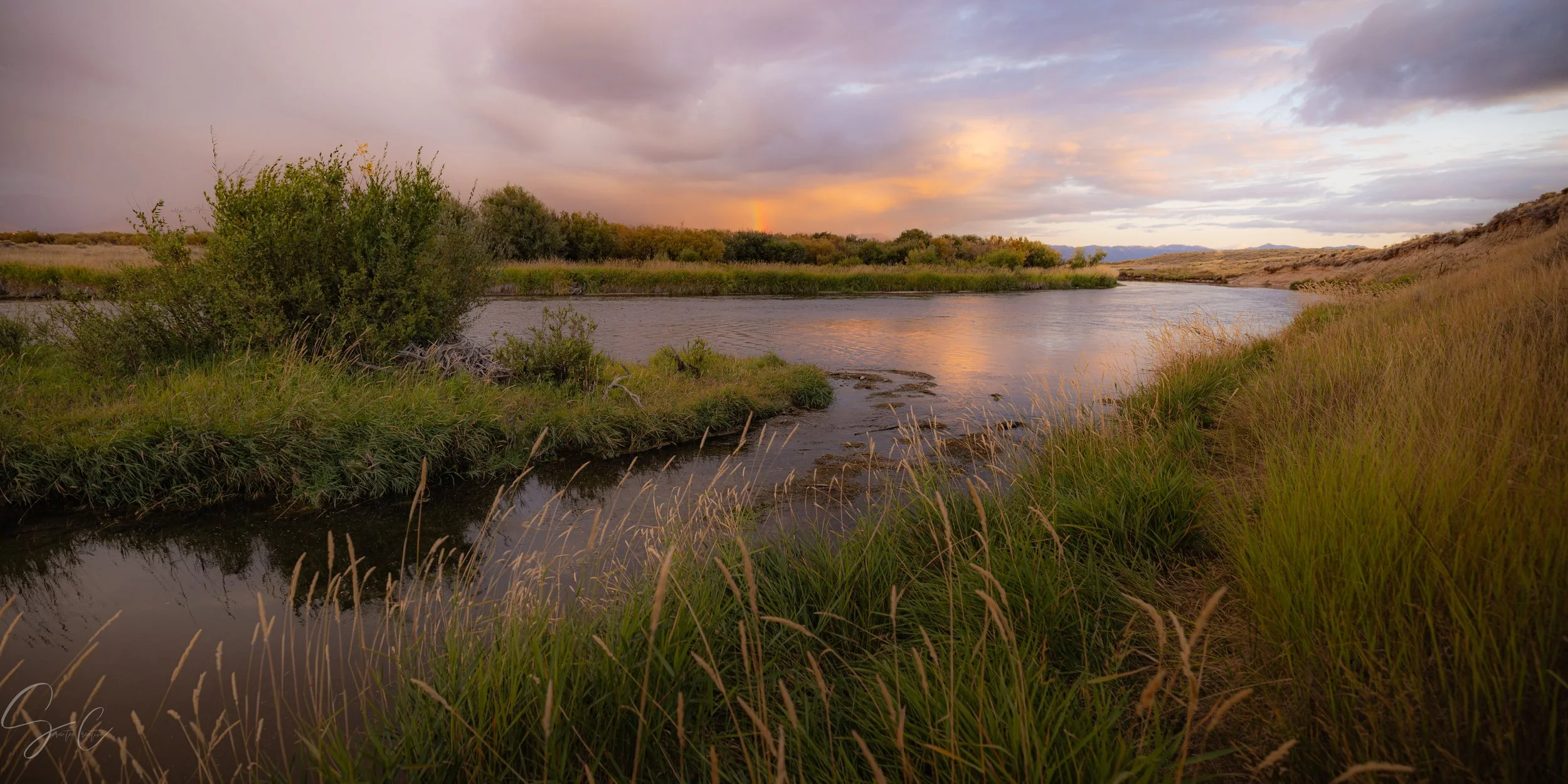 Idaho Rainbow