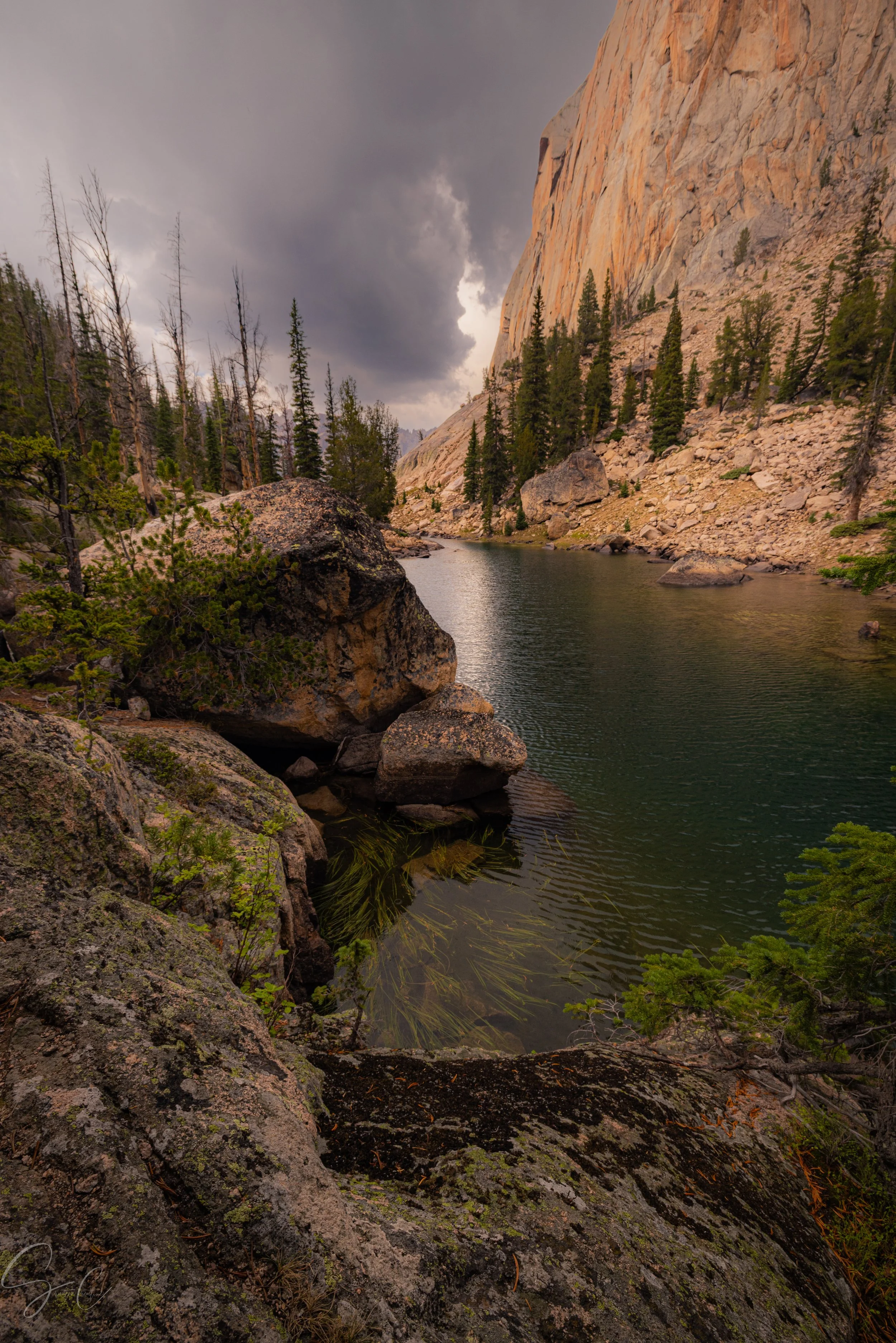 Tumult in the Mountains