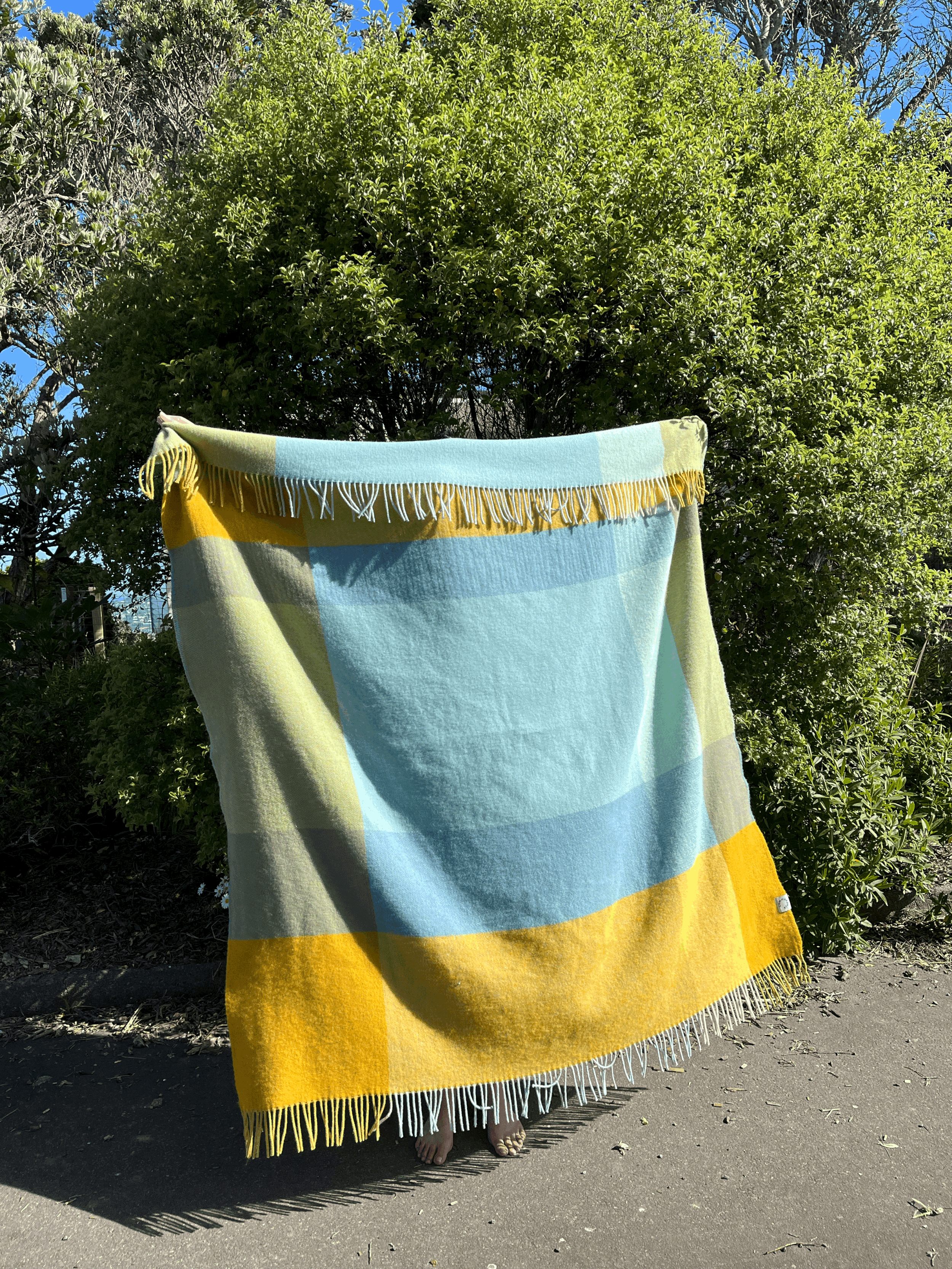 tempImageCkeT14.gif
