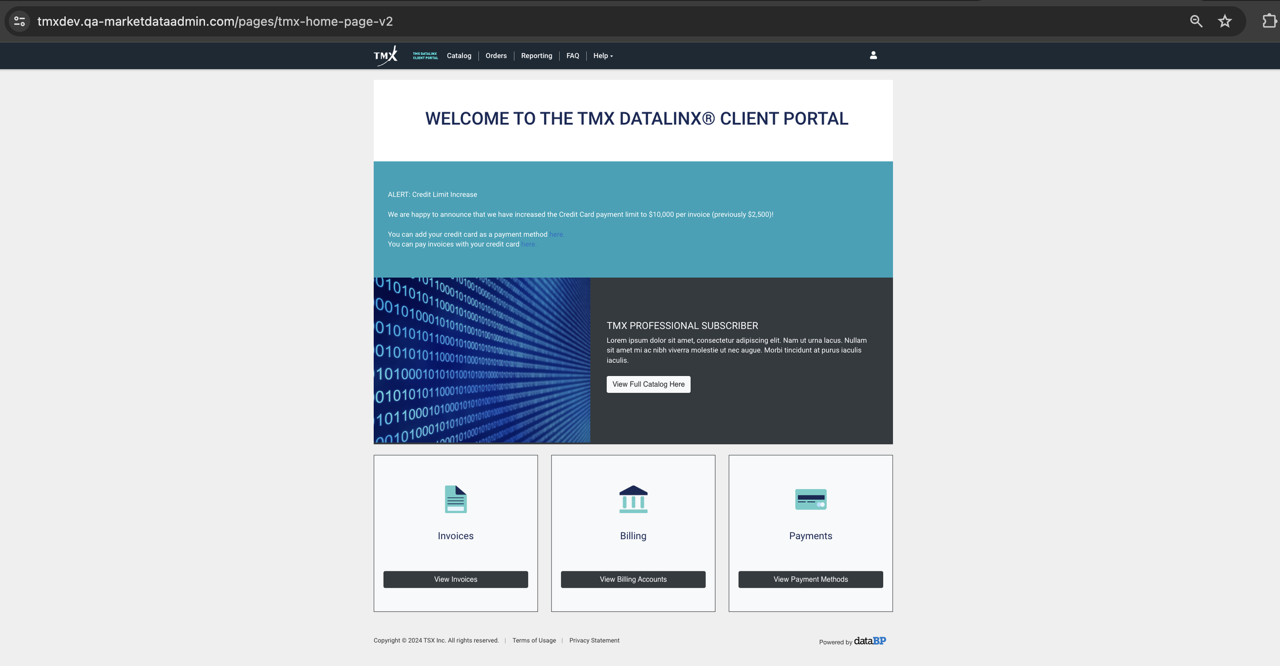 TMX Site Build 2.png