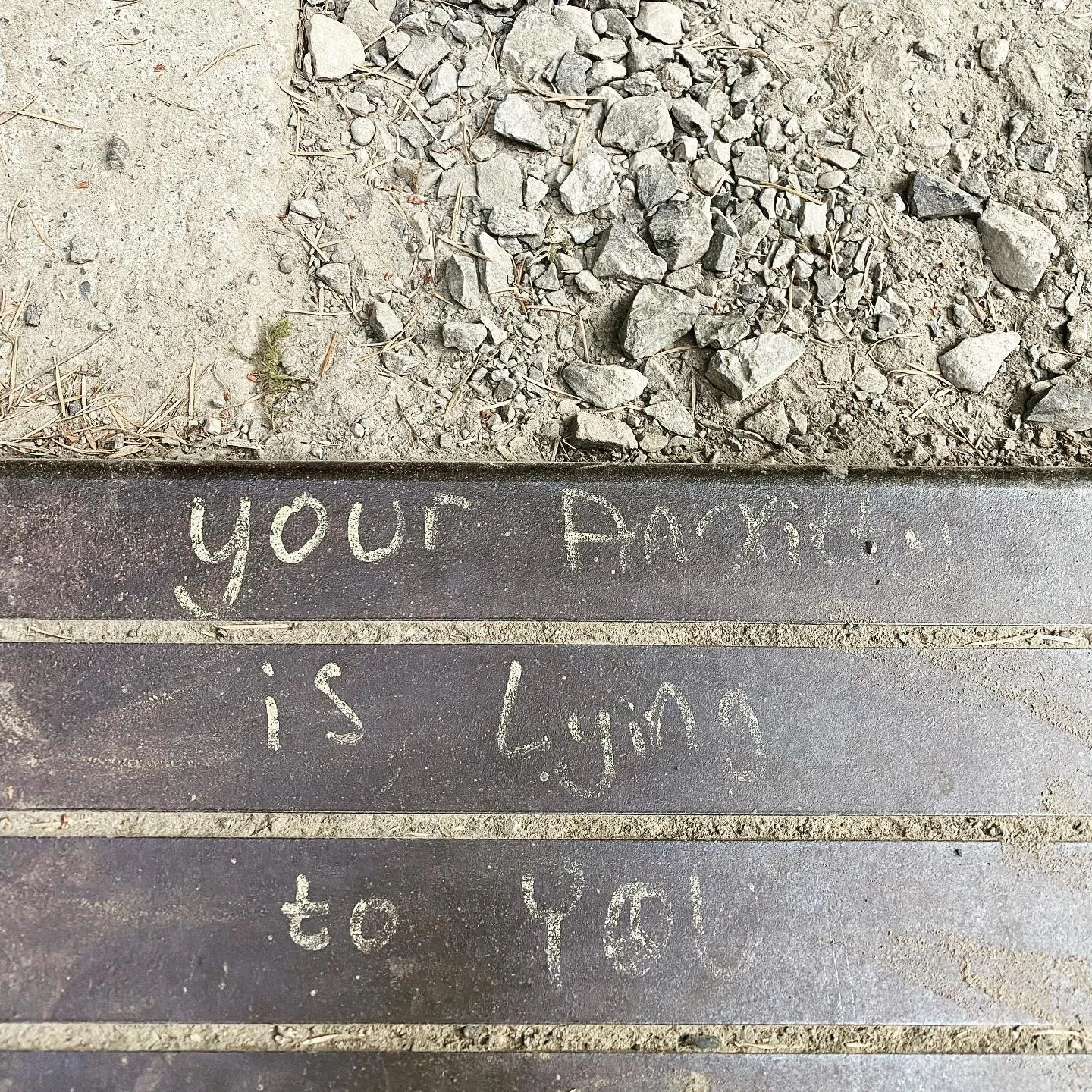 “Your anxiety is lying to you” 
I snapped this picture on a hike earlier this month and came across it again in my phone. 
So often I talk with the people I work with about approaching the different parts of themselves with curiosity +