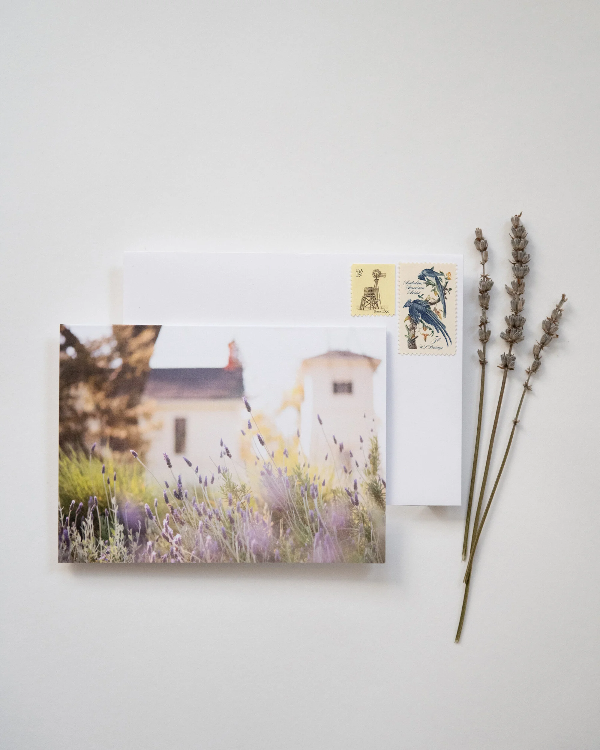Park Winters Notecards — Park Winters Marketplace