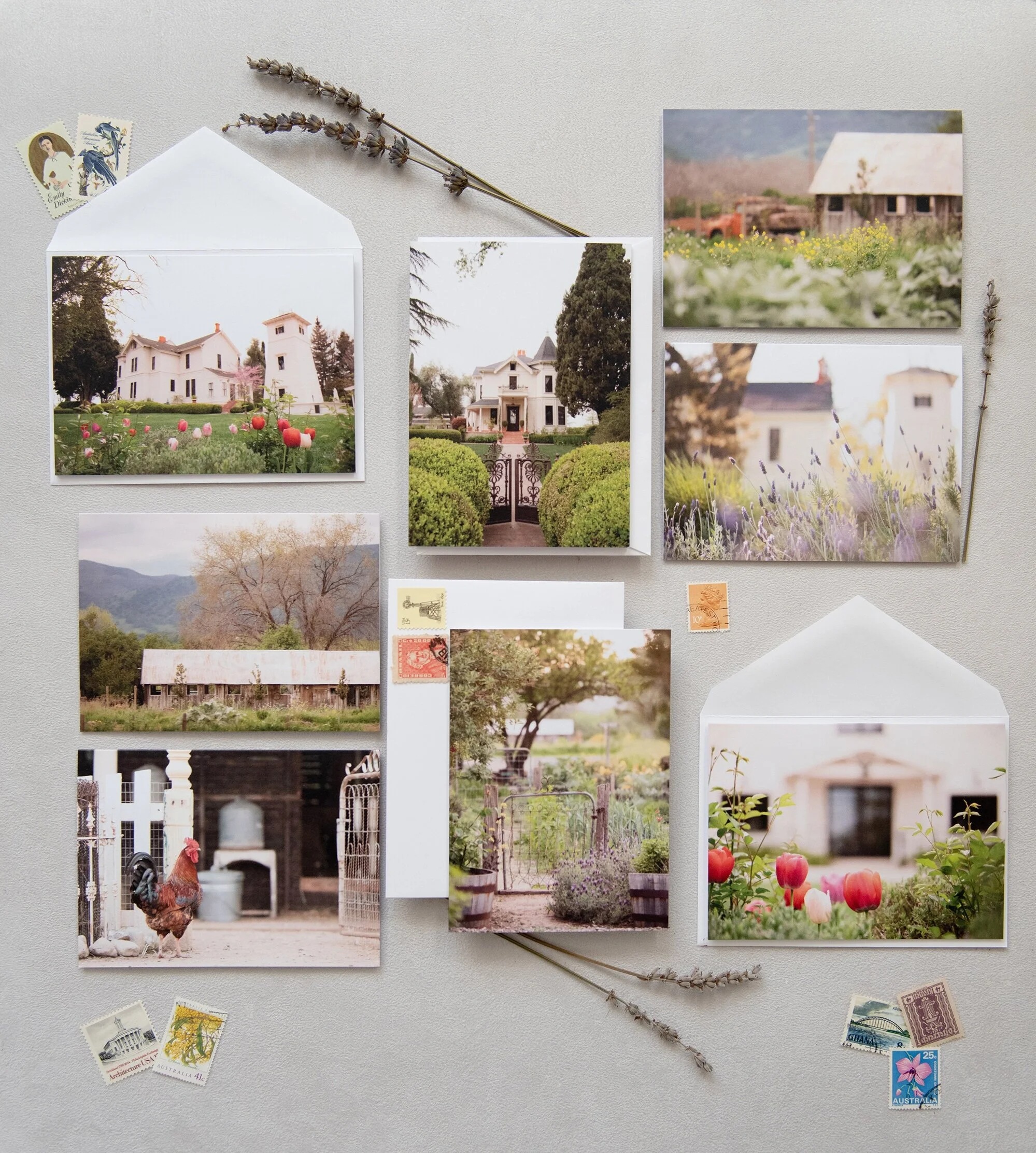 All Products — Park Winters Marketplace