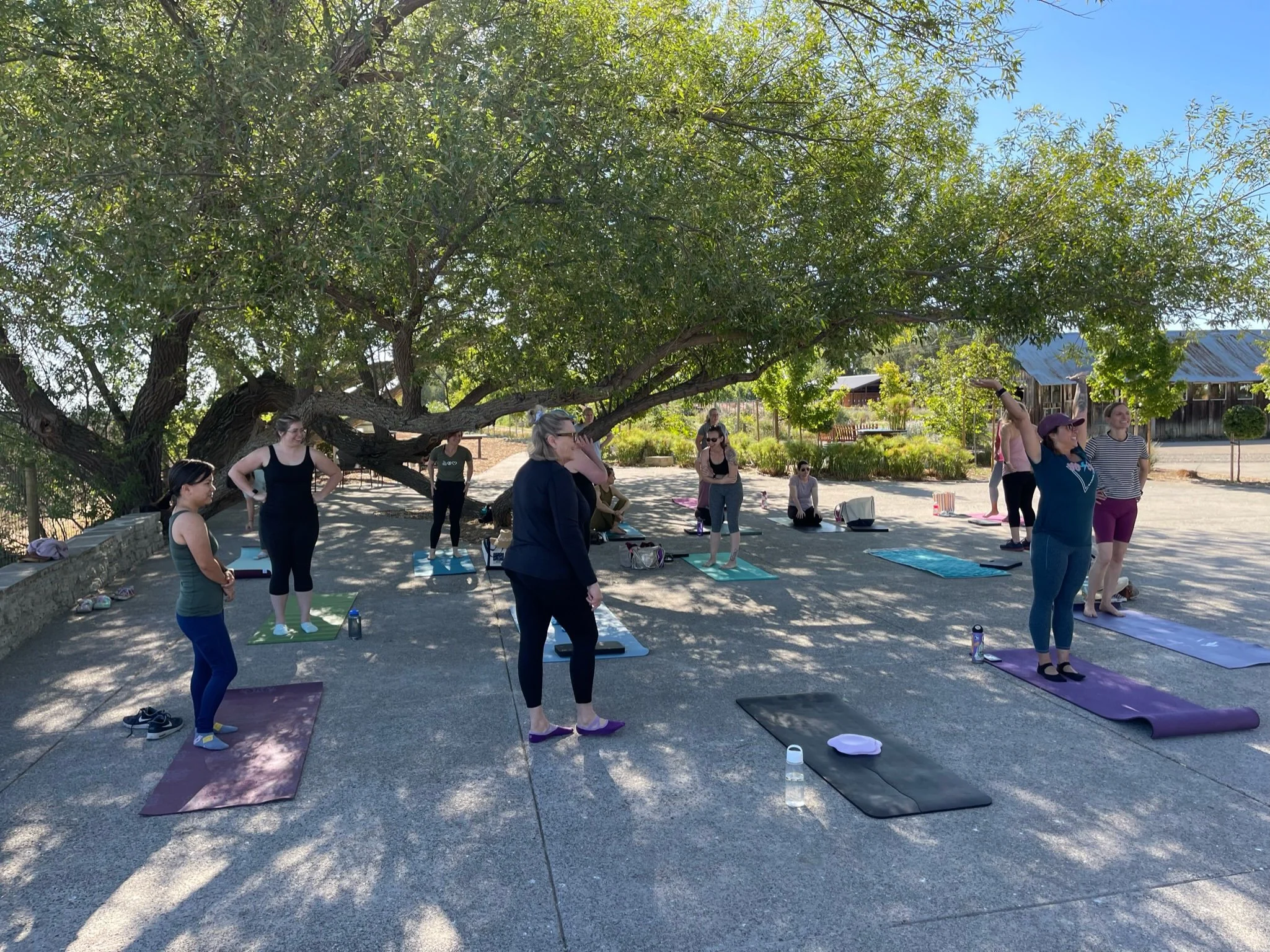 Barre on the Farm + Dried Flower Arrangements
