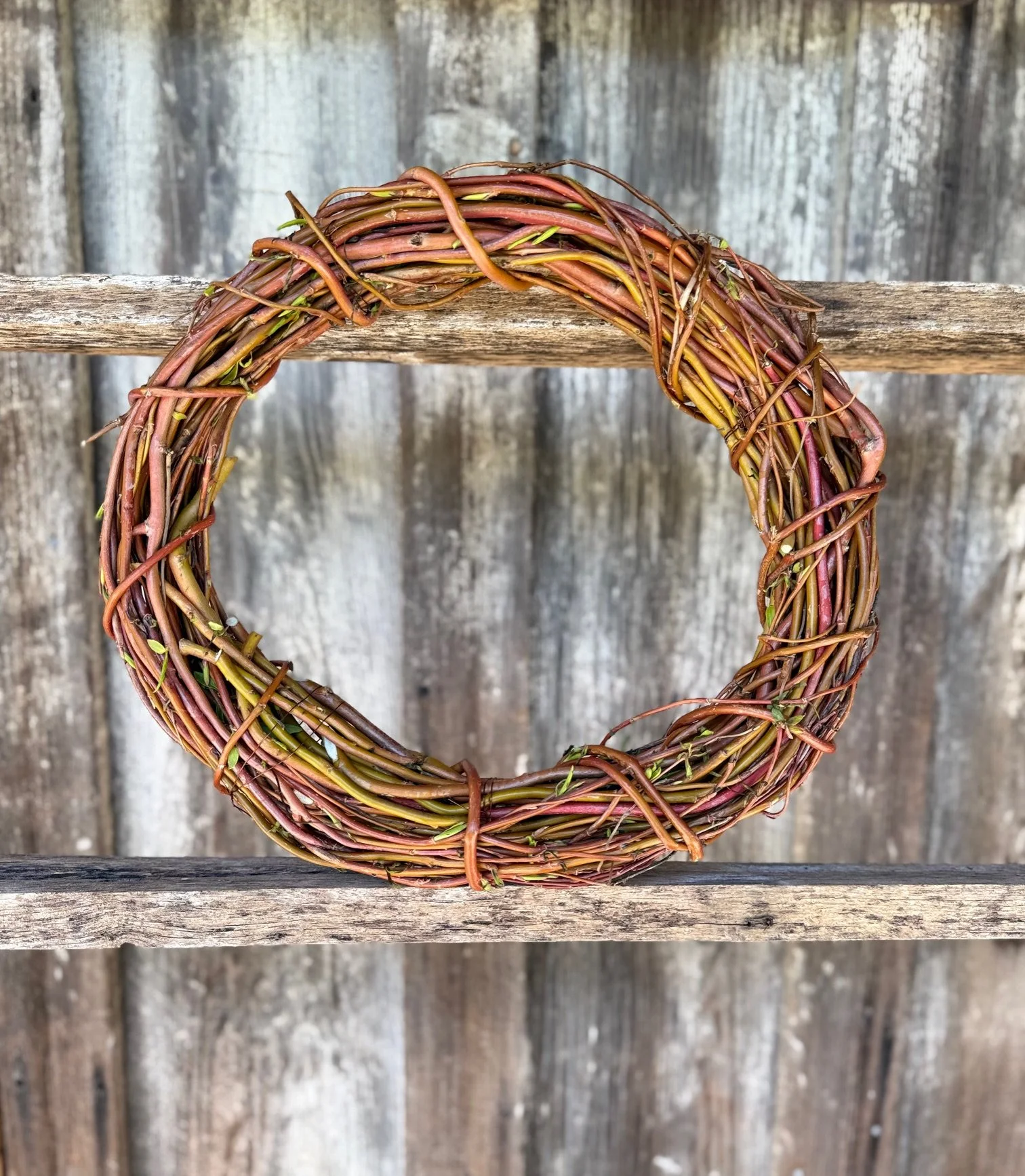Bare Curly Willow Wreath