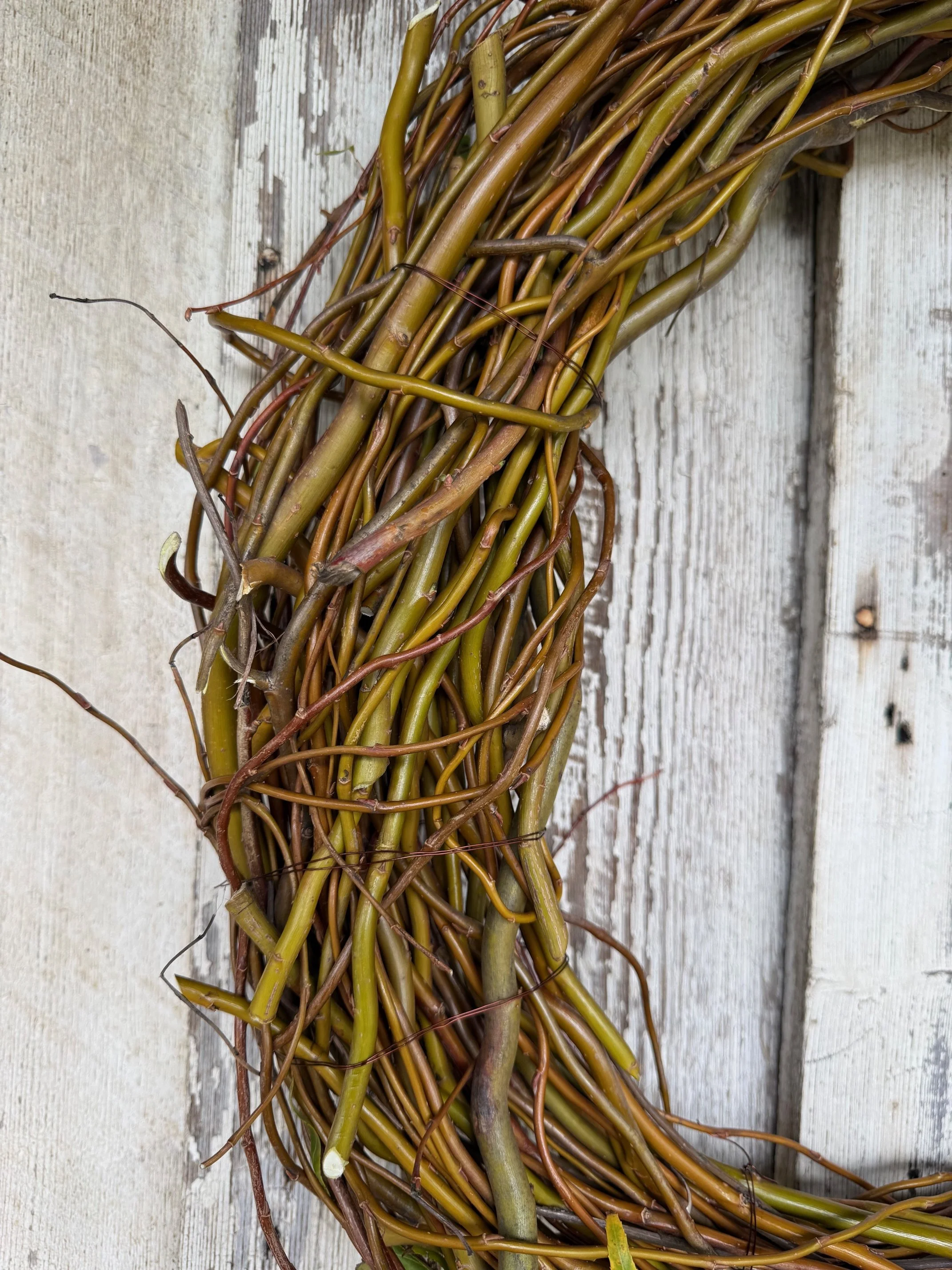 Leafless Curly Willow Wreath Detail.jpeg