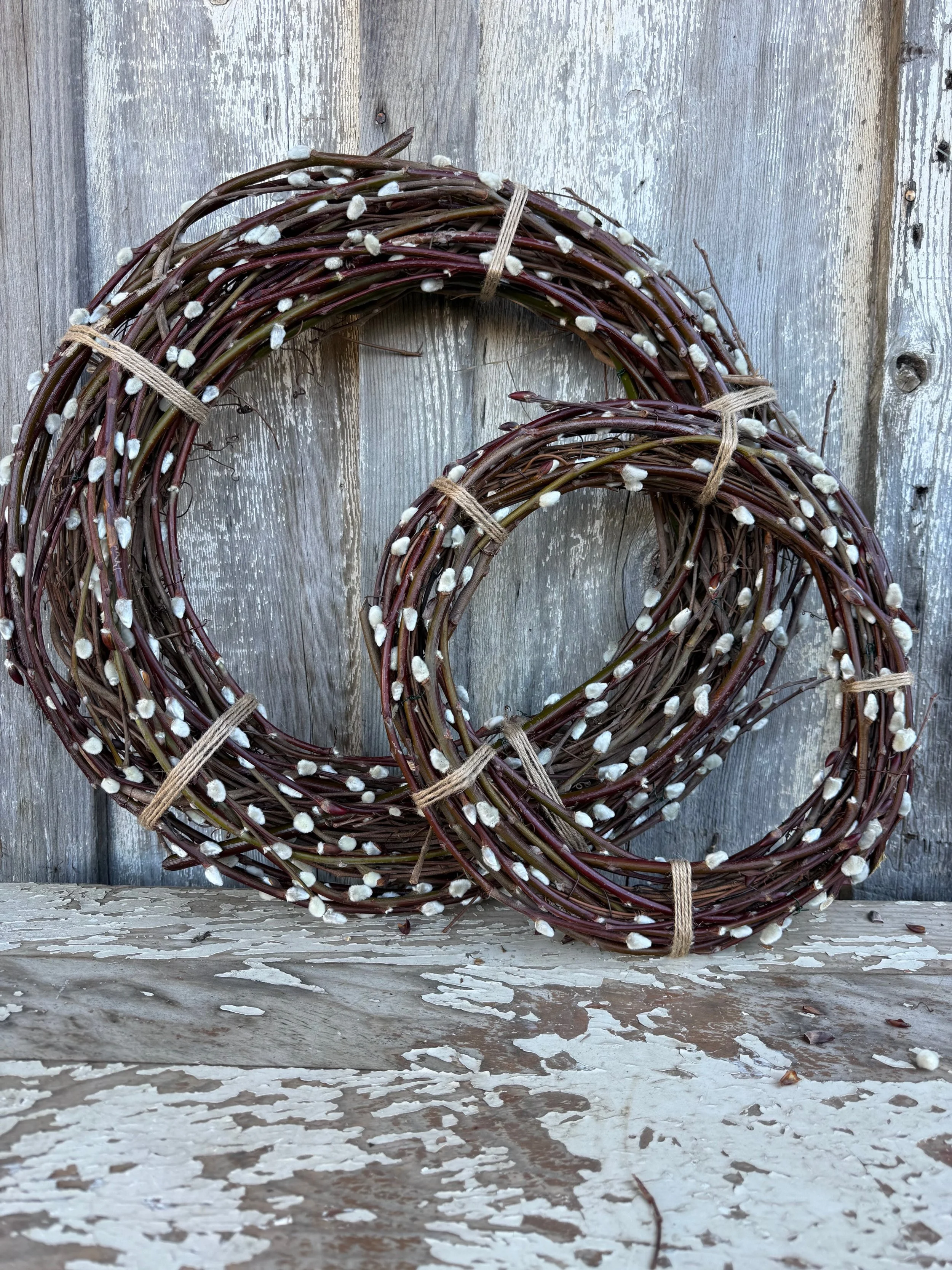 Pussy Willow Wreaths 19 and 13 Shot 1.jpeg