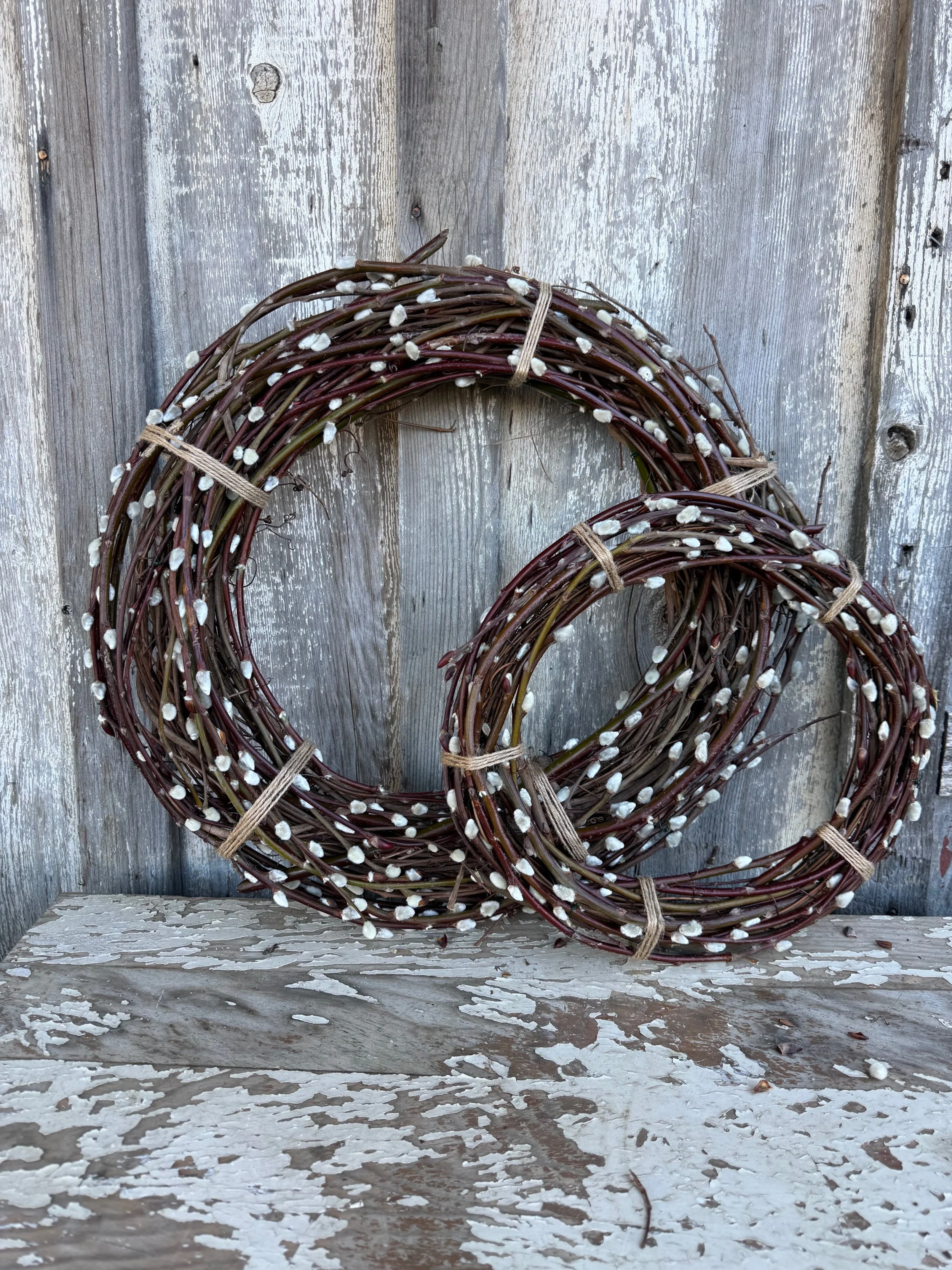 Pussy Willow Wreaths 19 and 13 Shot 2.jpeg