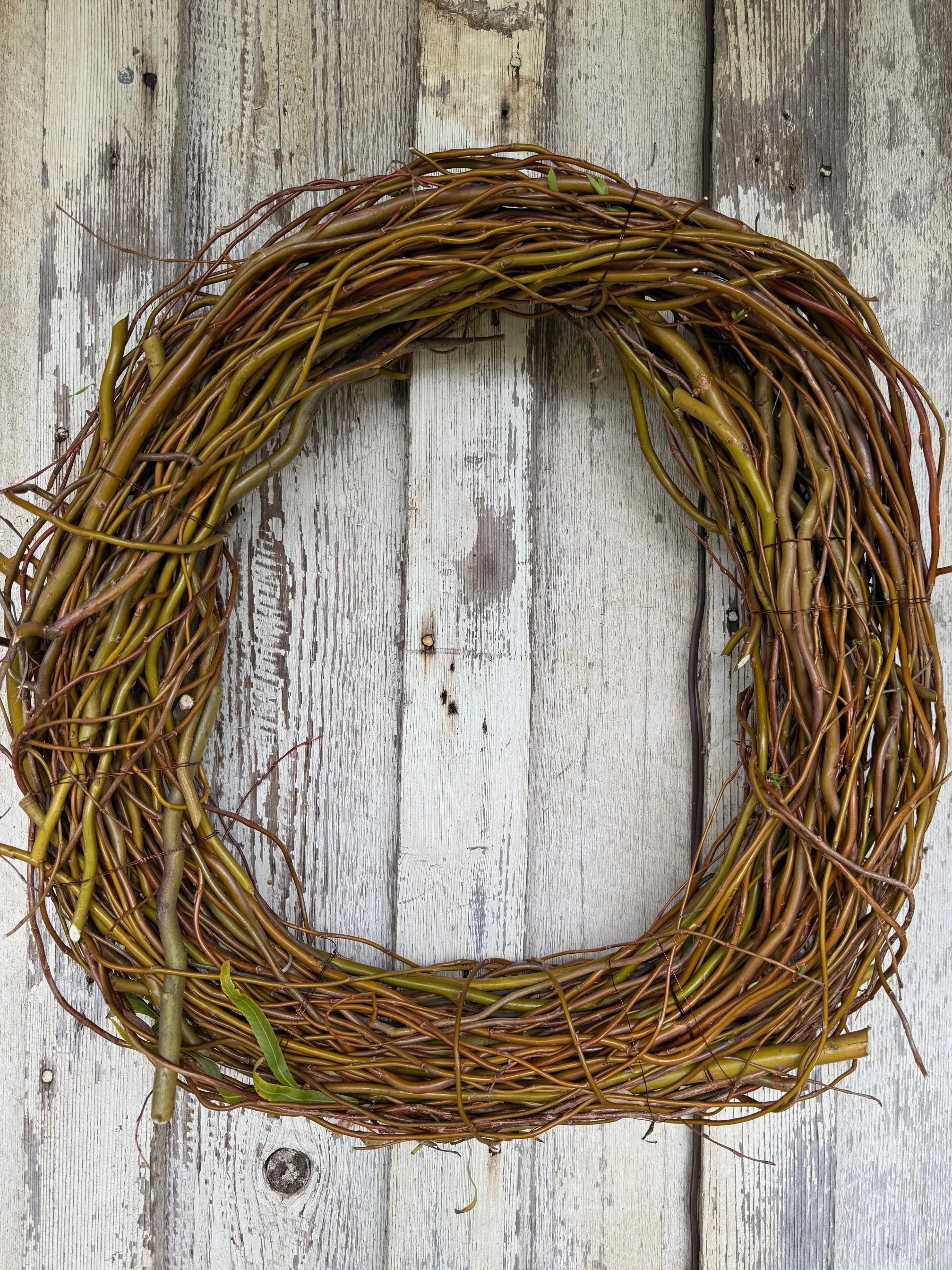 Leafless Curly Willow Wreath Wide.jpeg