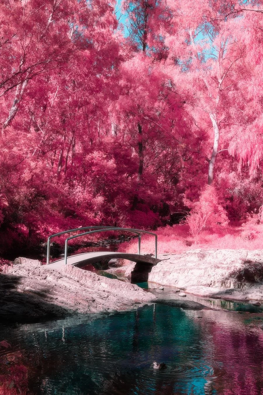 Mermaid Lagoon, 2020, Kate Ballis
