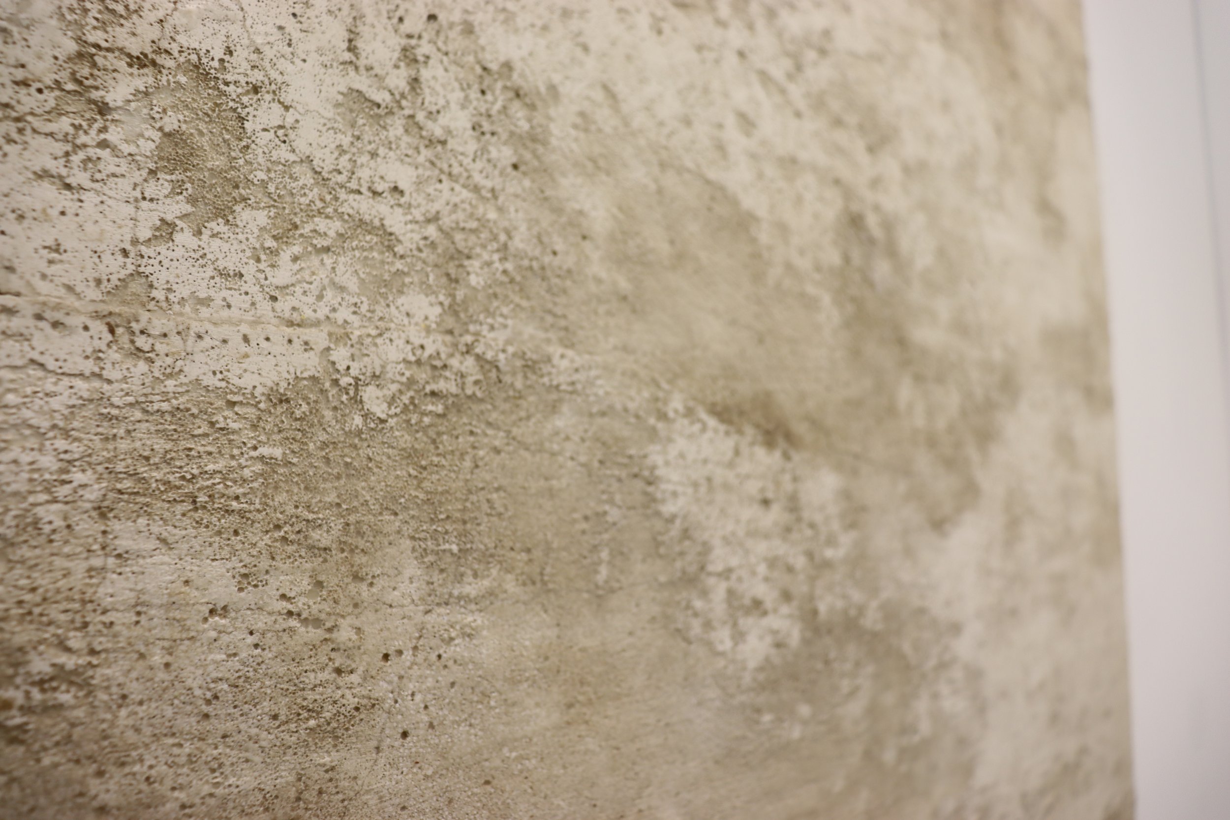 'Between sand and stone (detail)', 2022
Washed plasterboard with beeswax mounted on timber.
Diptych: 120 x 80cm.