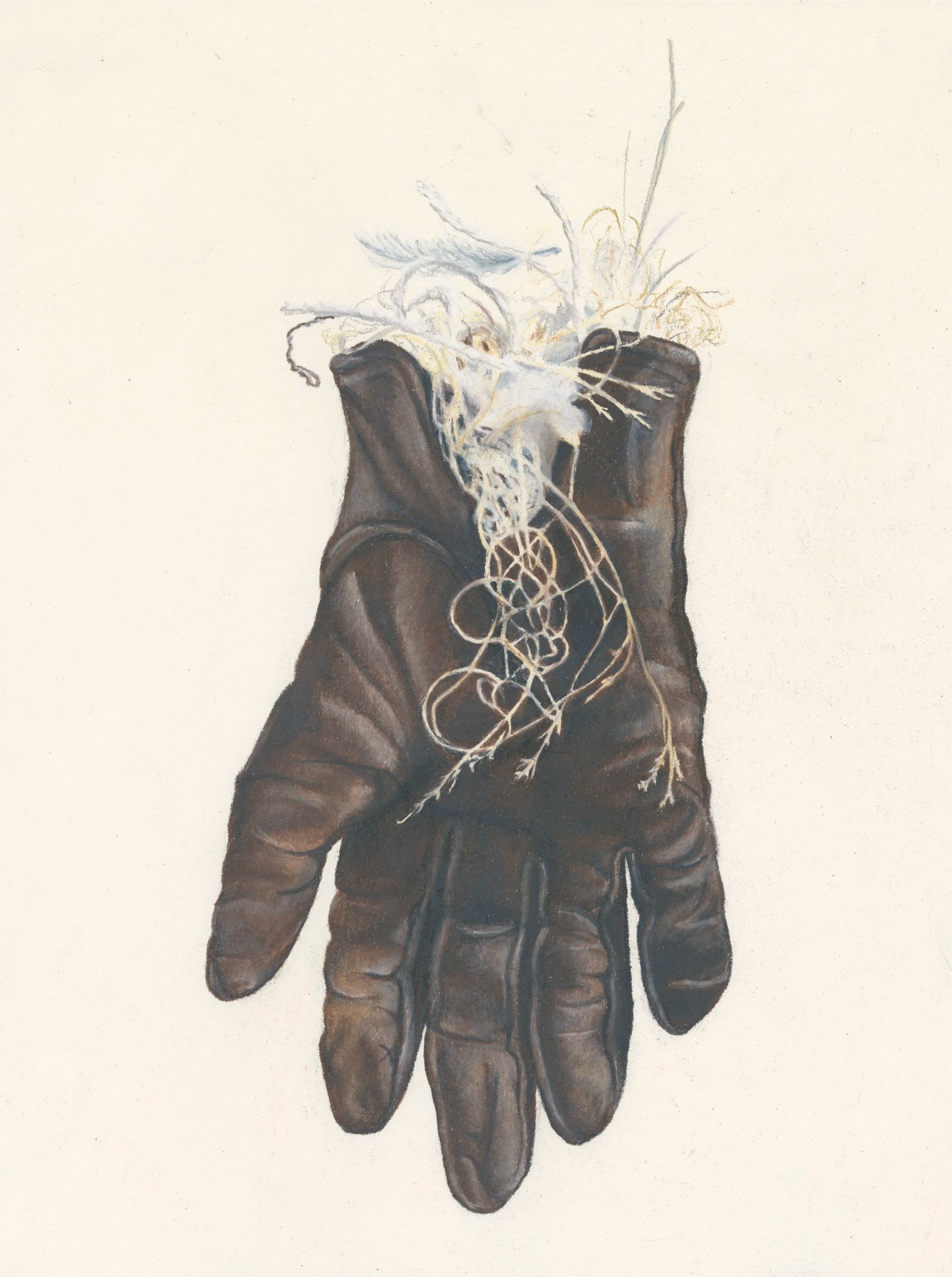 'I found a home in your hand', 2025
My grandfather's glove, fabric offcuts from my studio and a feather that flew through the window.
Coloured pencil on paper.
32 x 25cm