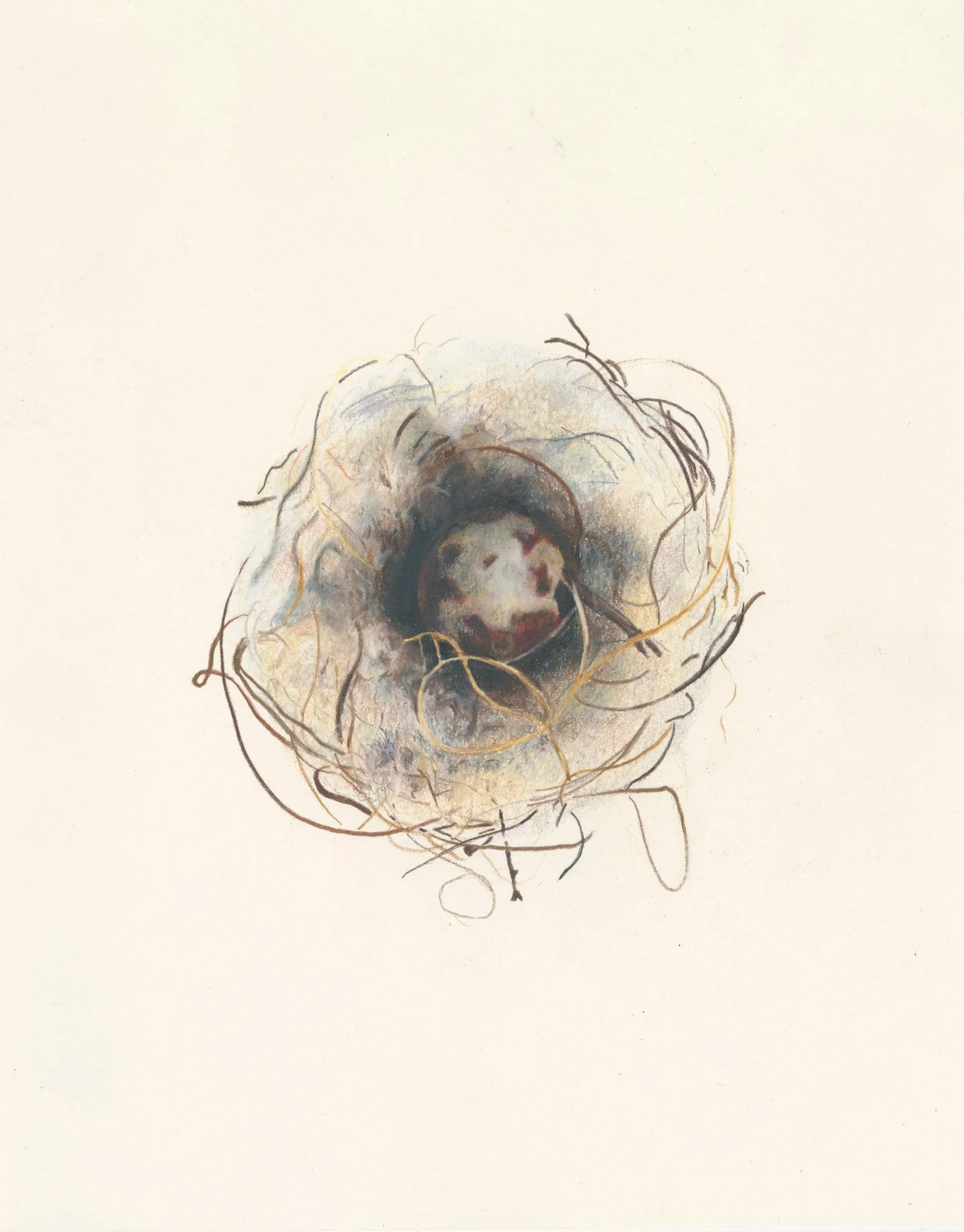 'Cuckoo', 2025
A steel mill ball in a polyester nest.
Coloured pencil on paper.
32 x 25cm