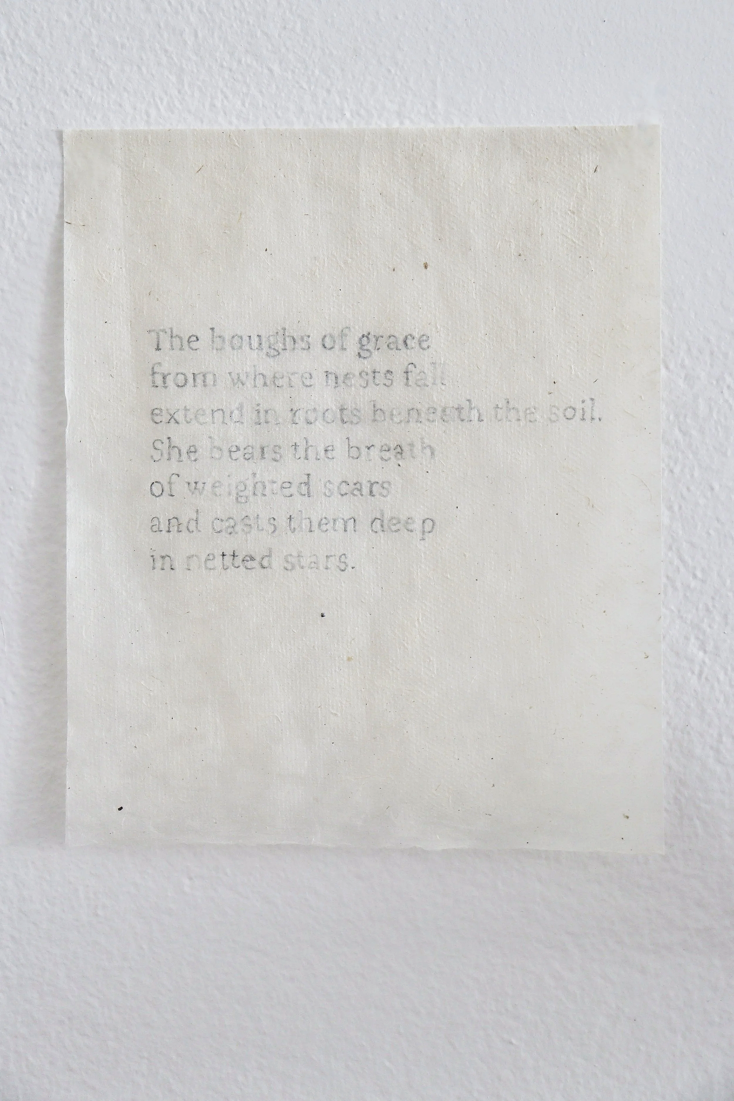 ‘The boughs of grace’, 2025
graphite on Lokta paper, 
16.5 x 13.6cm.